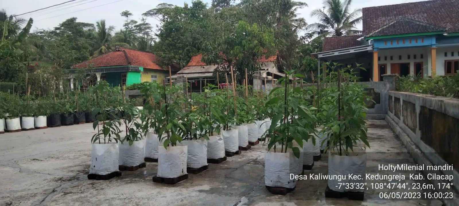 Gapoktan jangka sembada
