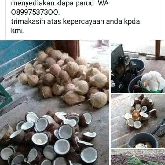 GILINGAN TEPUNG RUDI