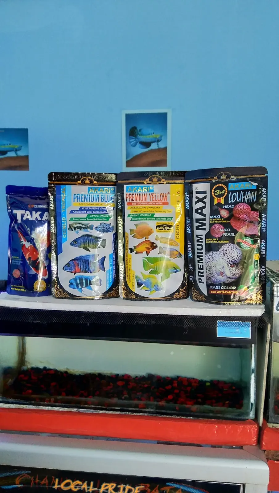 Goesono Ikan Hias