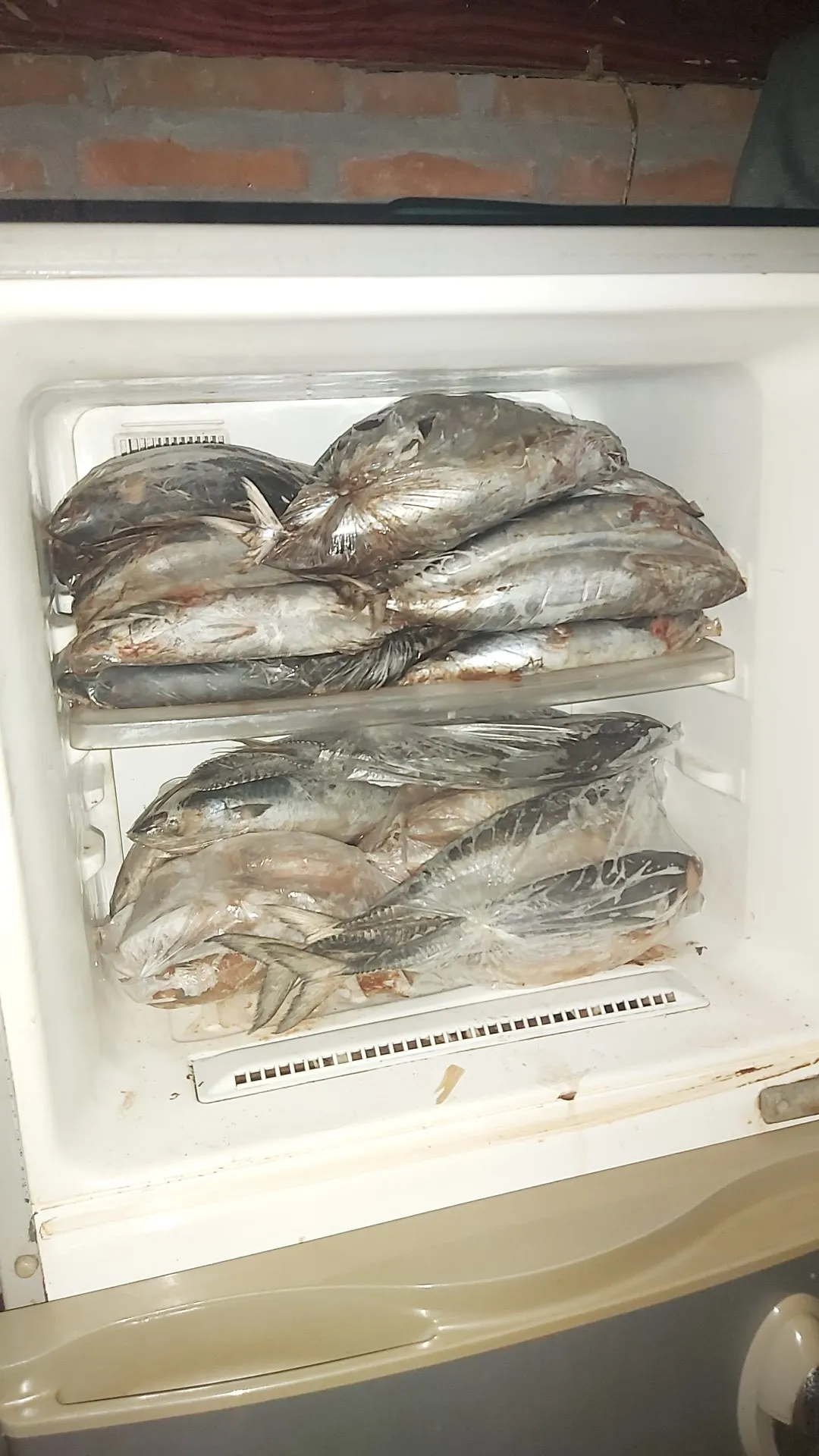 Grosir Ikan Laut Mustofa
