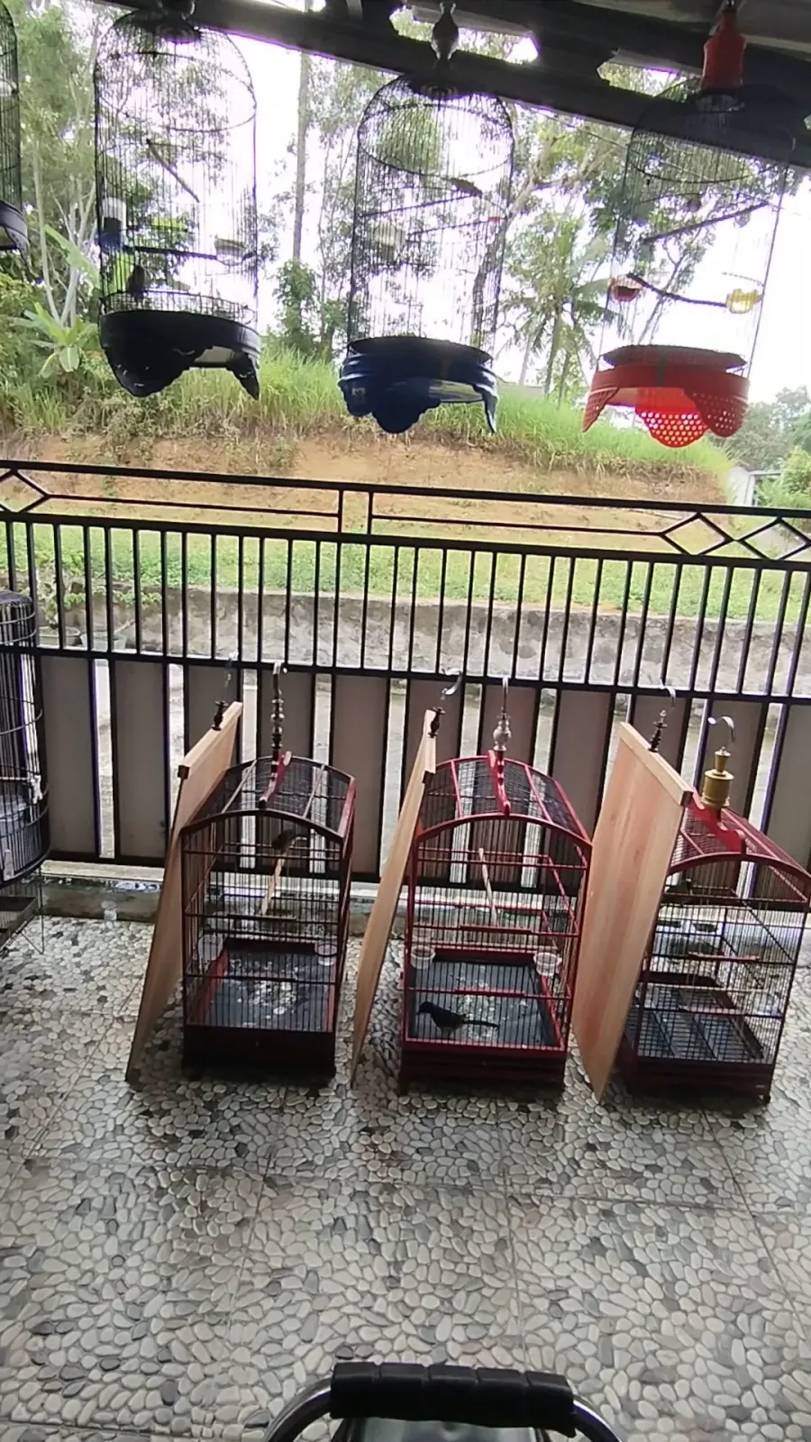 Halilintarbirdfarm