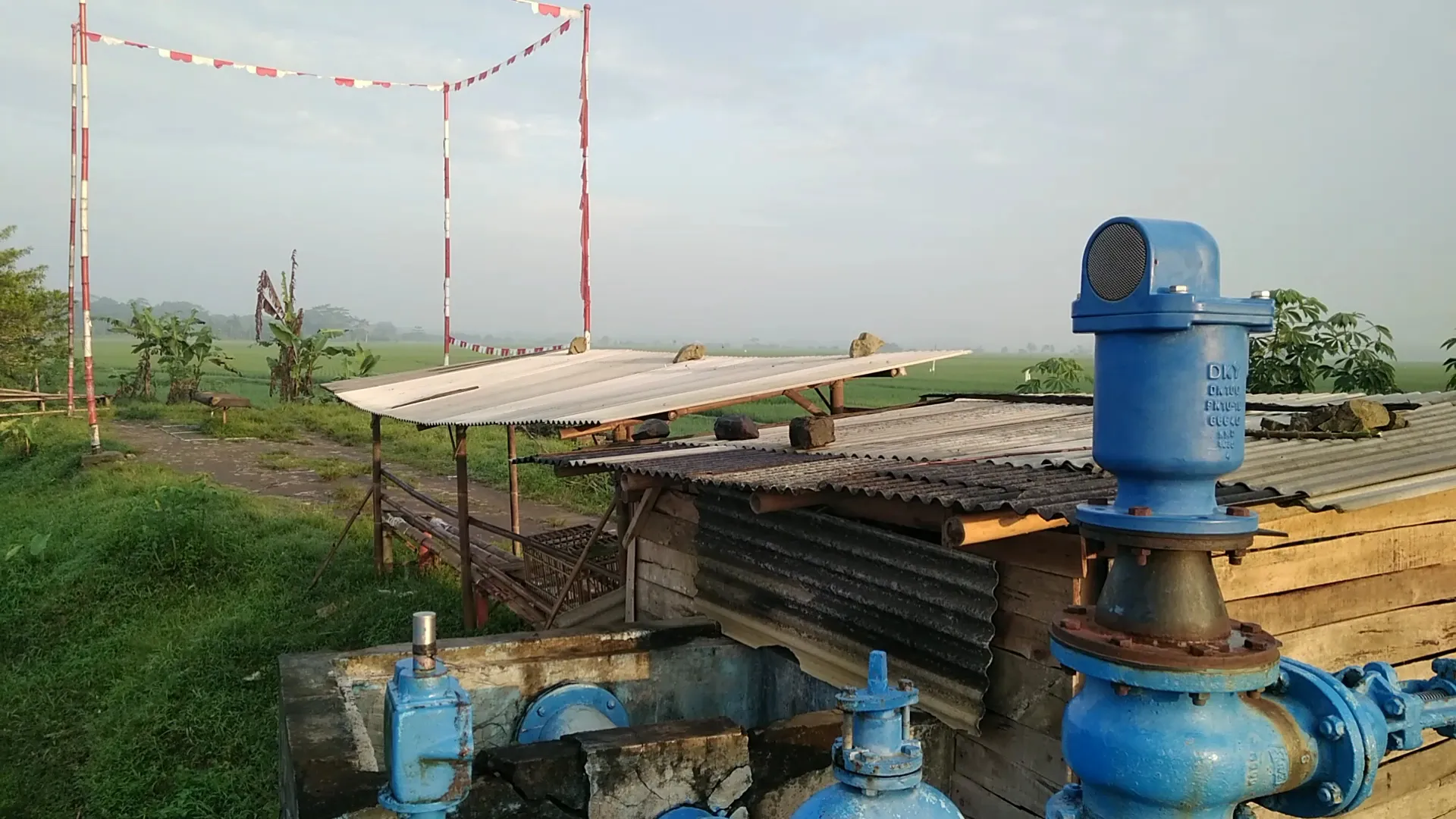Hiburan merpati