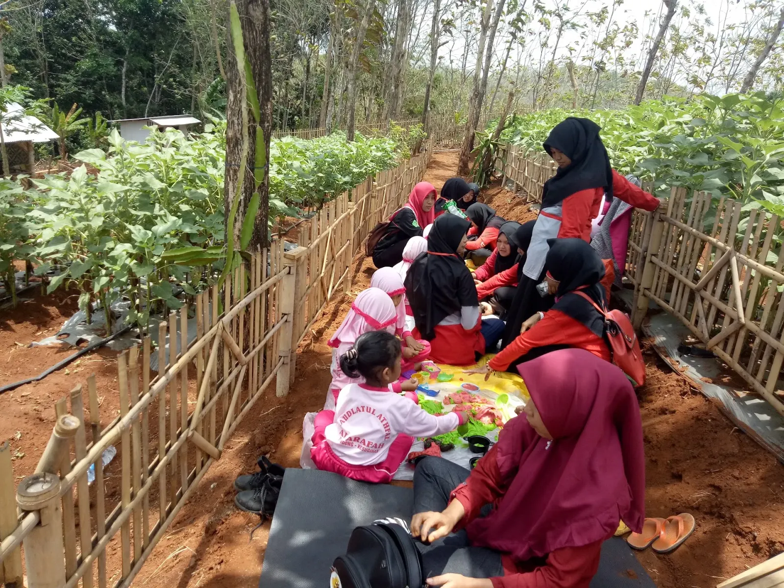 Horti Park Gunung Kemit Dondong