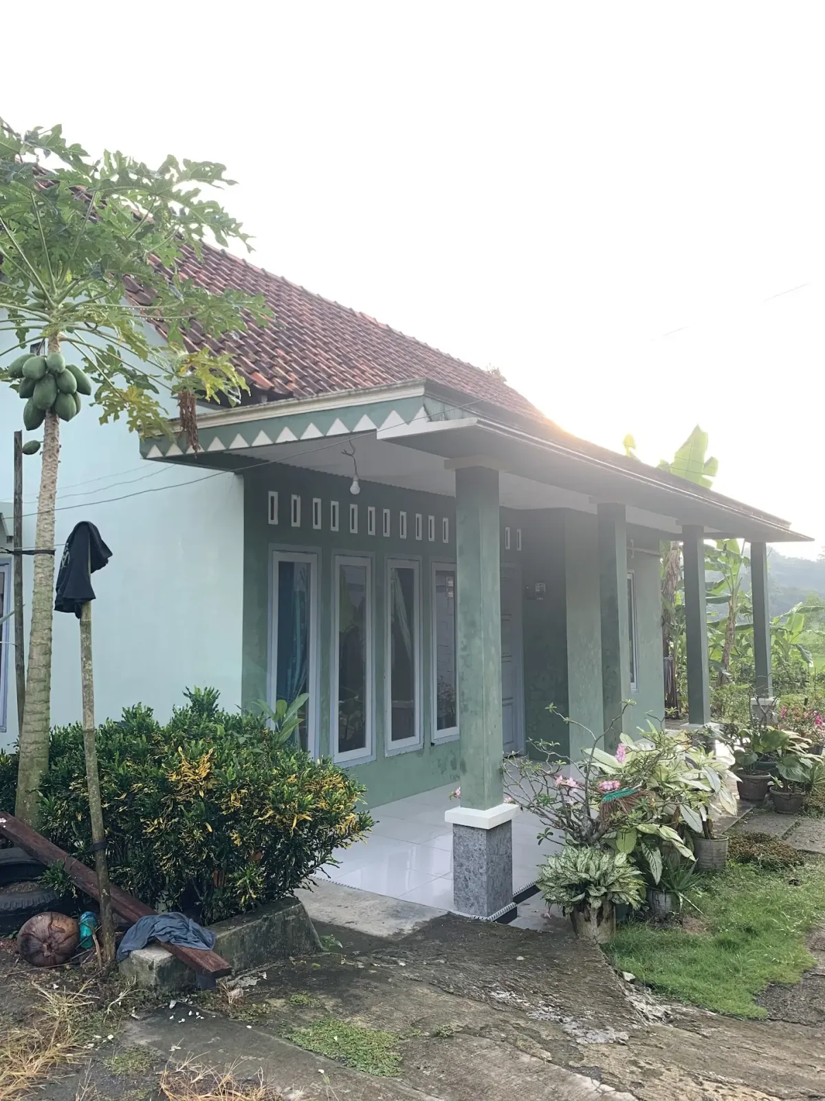 House Of Alv