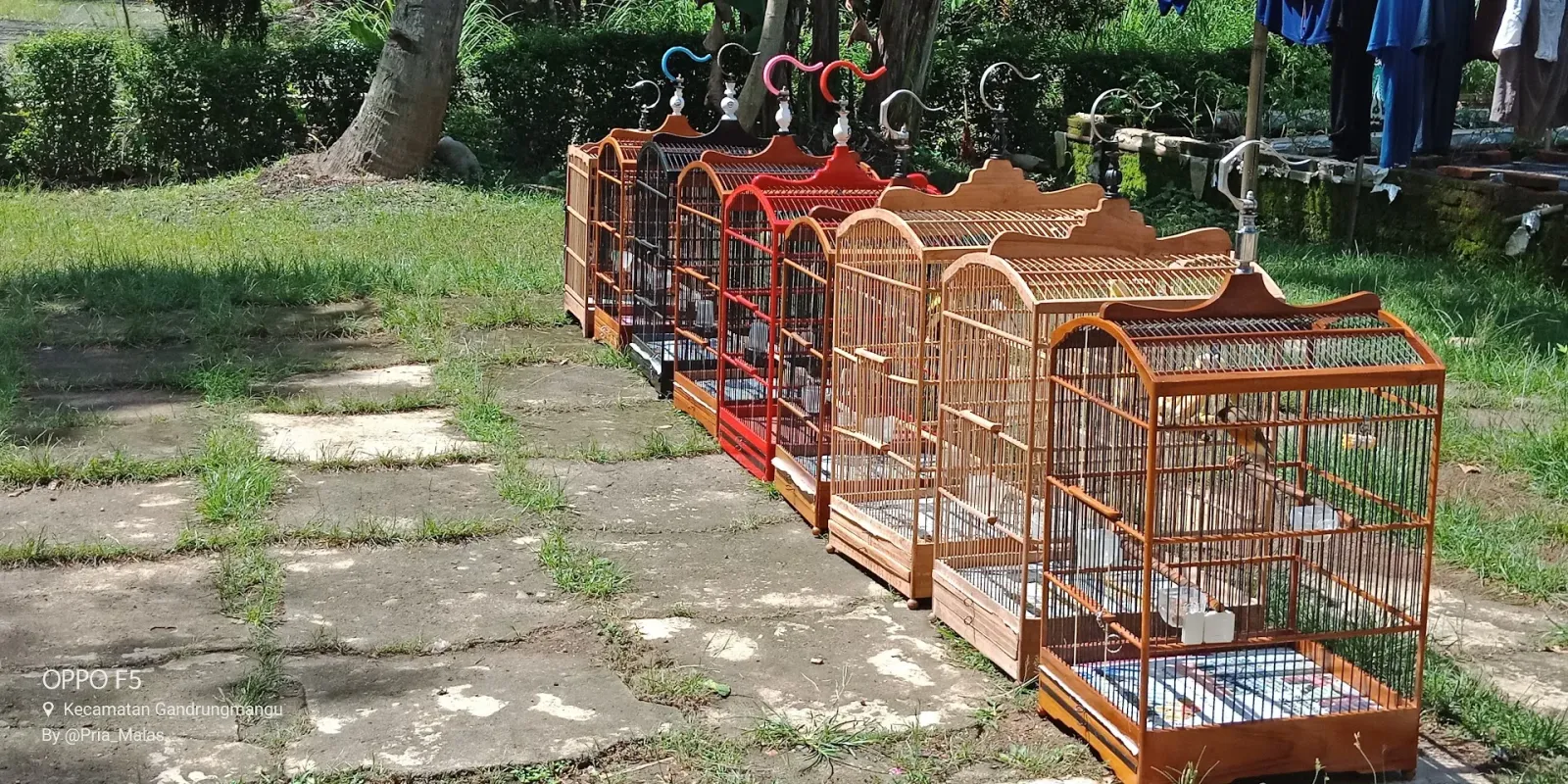 Inspirator Bird Farm