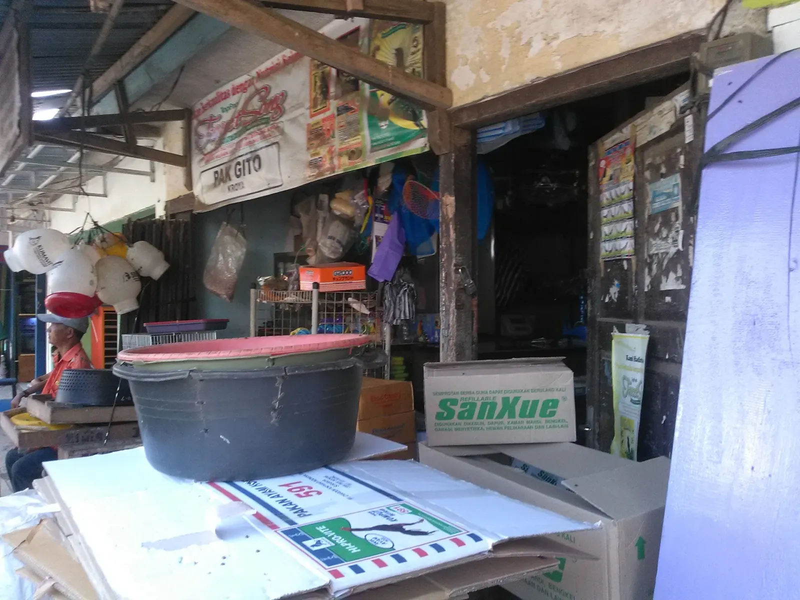 Istana jangkrik
