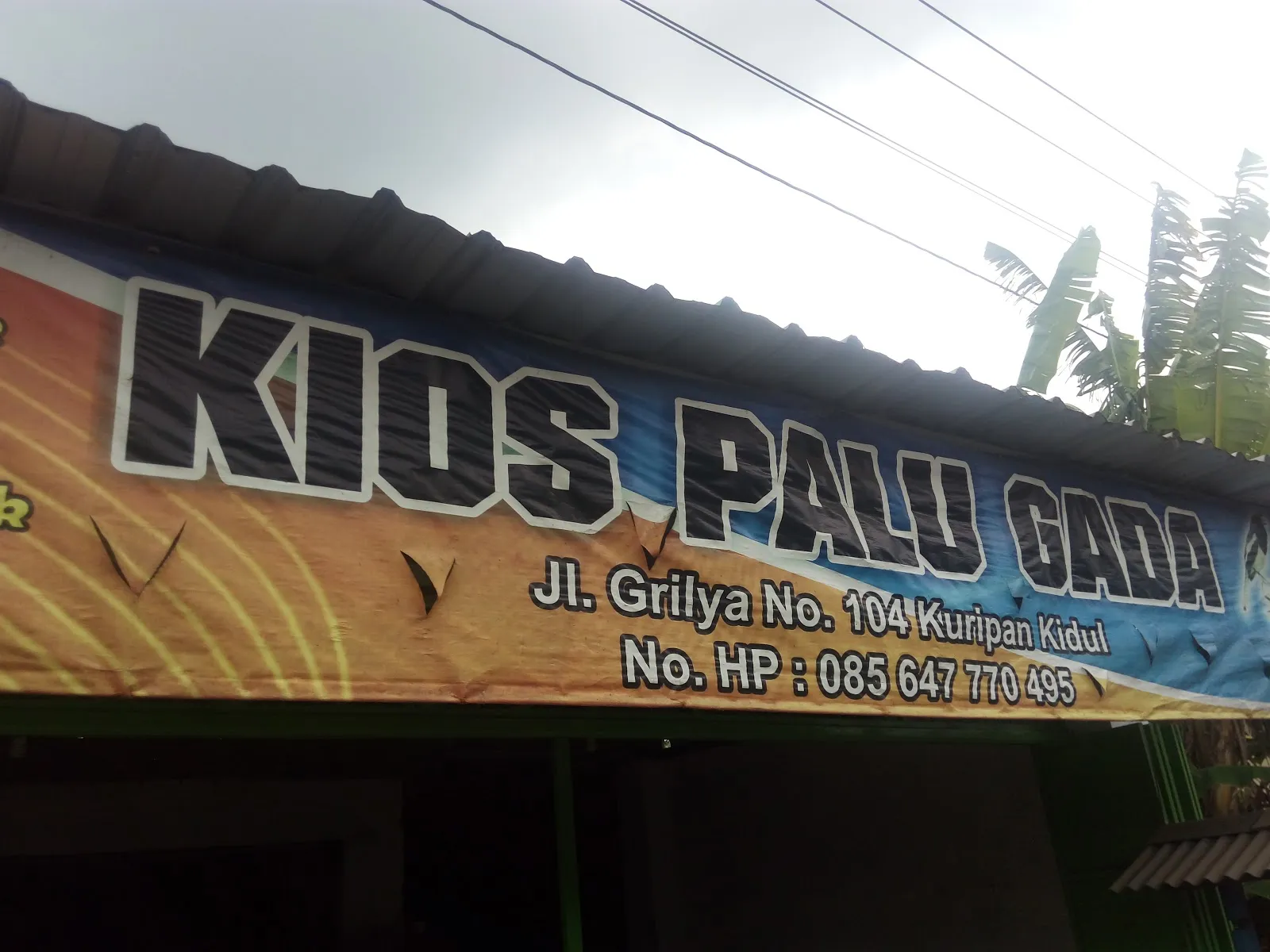 Jual burung kicau