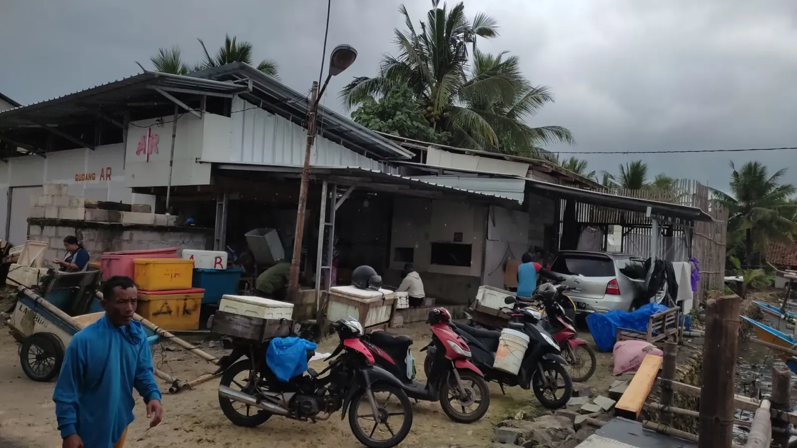 JUAL IKAN LAUT FRESH (RBF2)