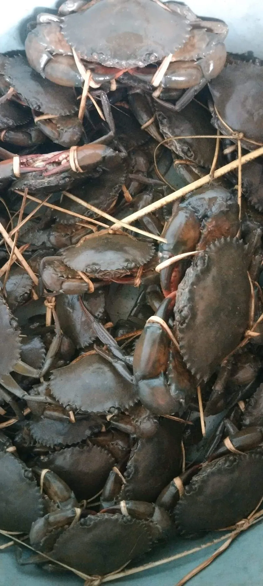 Jual Ikan Segar Hasil Laut Mak Iyem