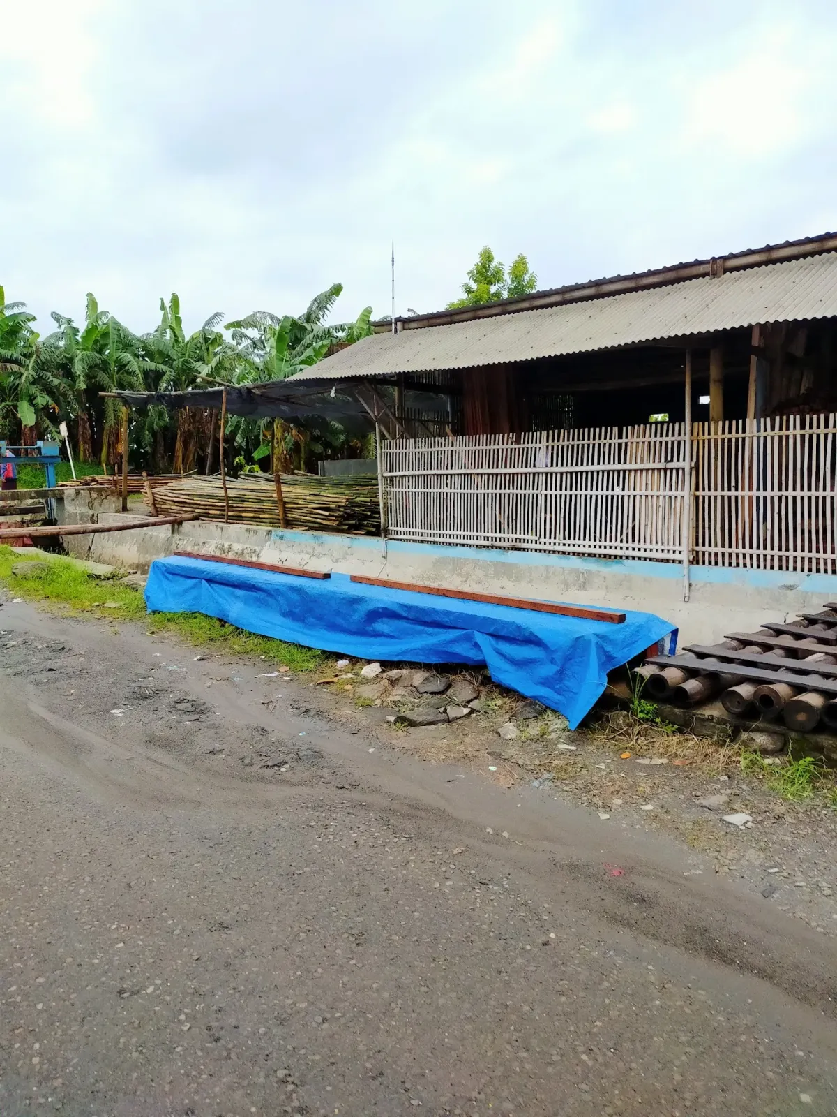 JUAL TANGGA BAMBU