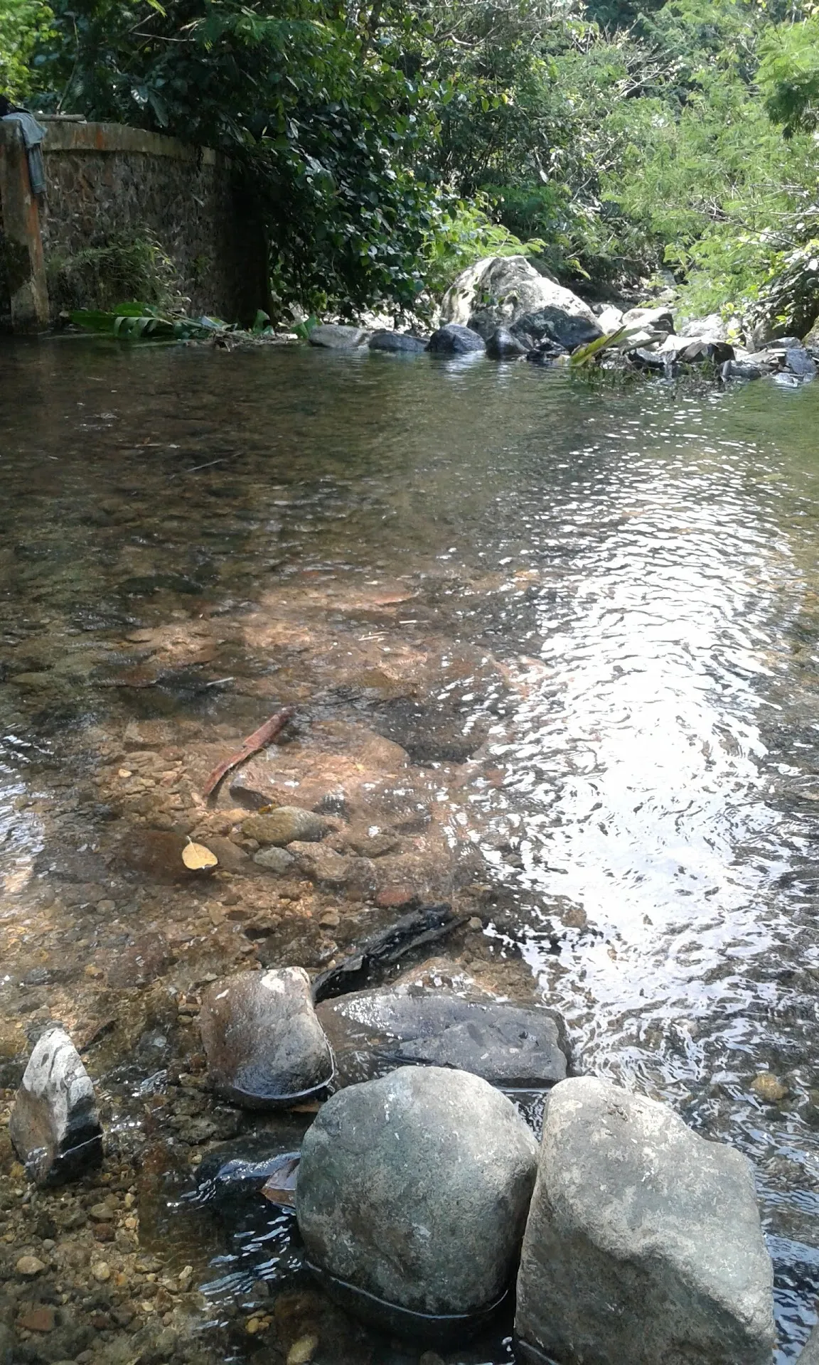 Karangan kebun