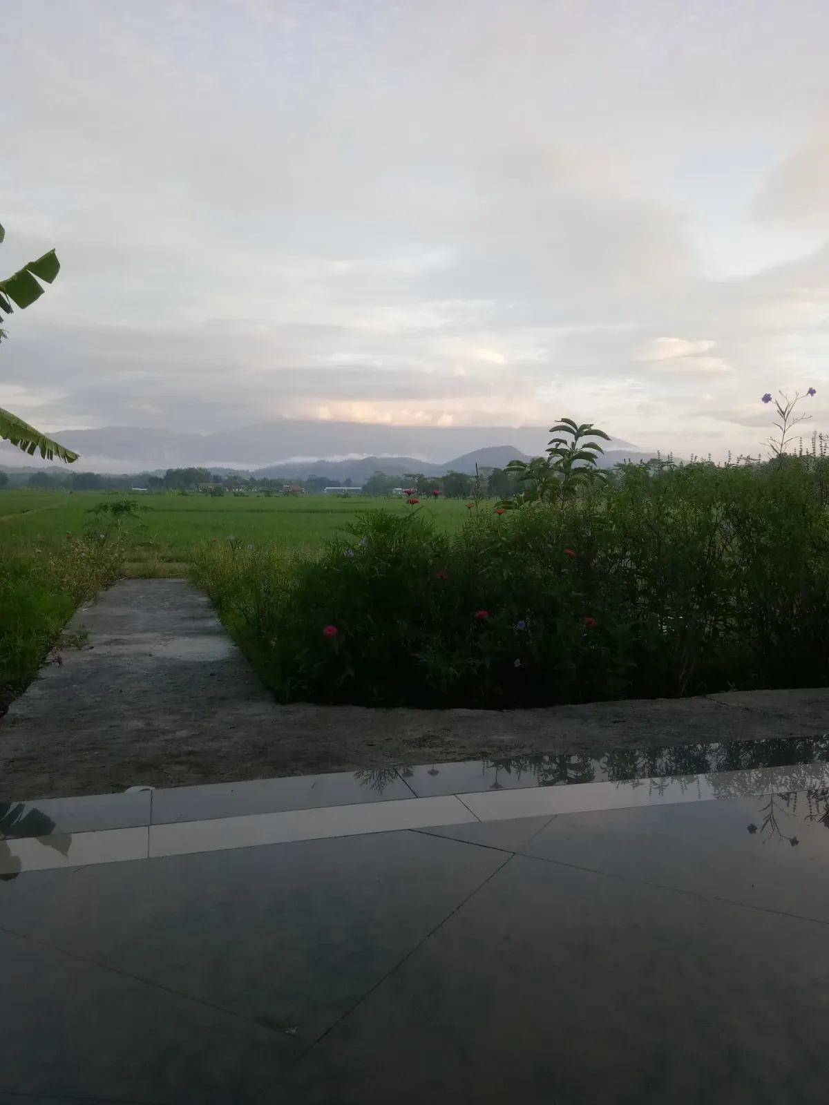 KAROMAH MAUNAH