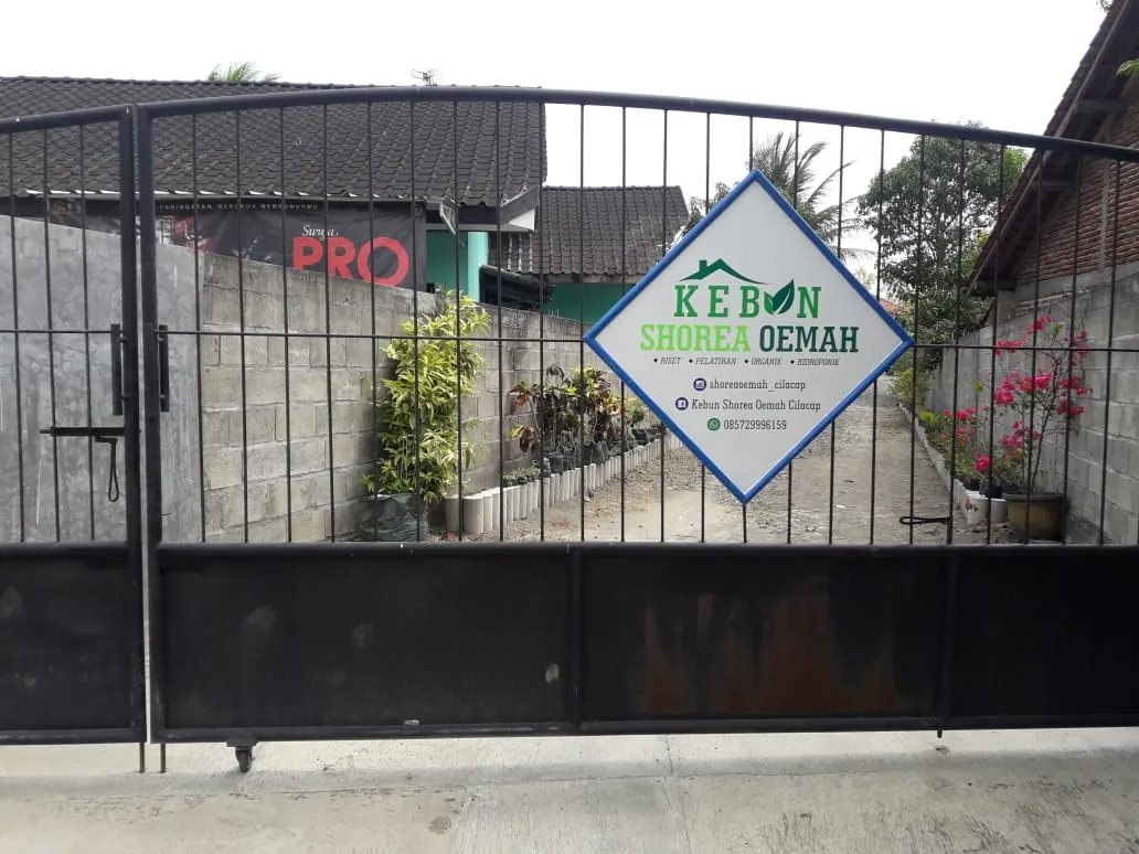 Kebun Shorea Oemah