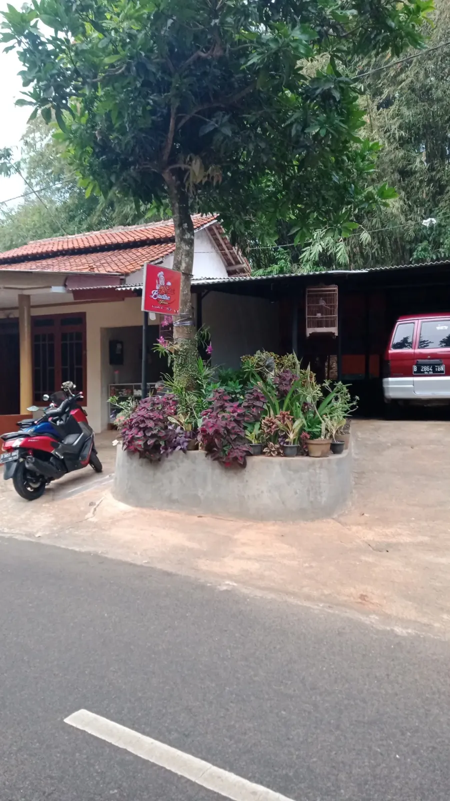 Kedai Budhe pini