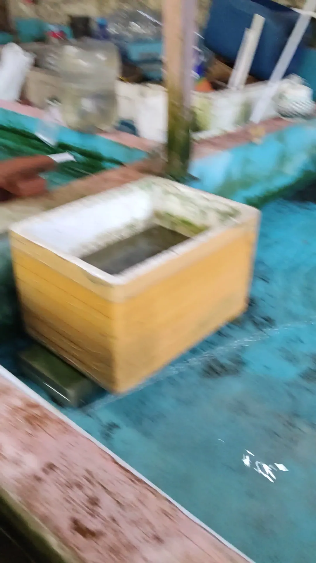 kembu saliwangi