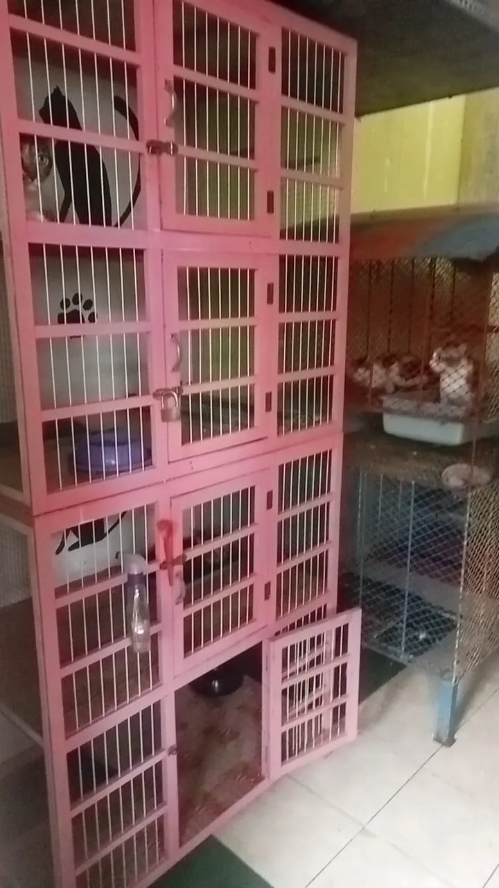 Kinoy guest+pet house cilacap