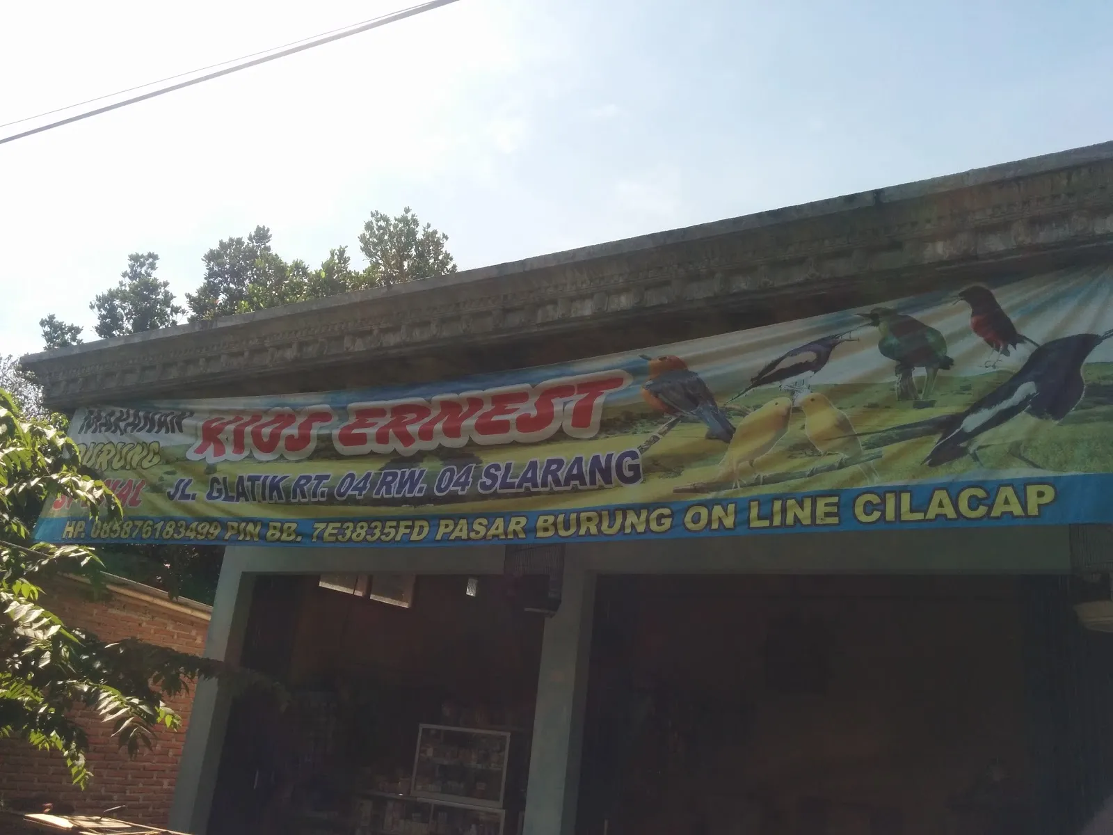 Kios Ernest