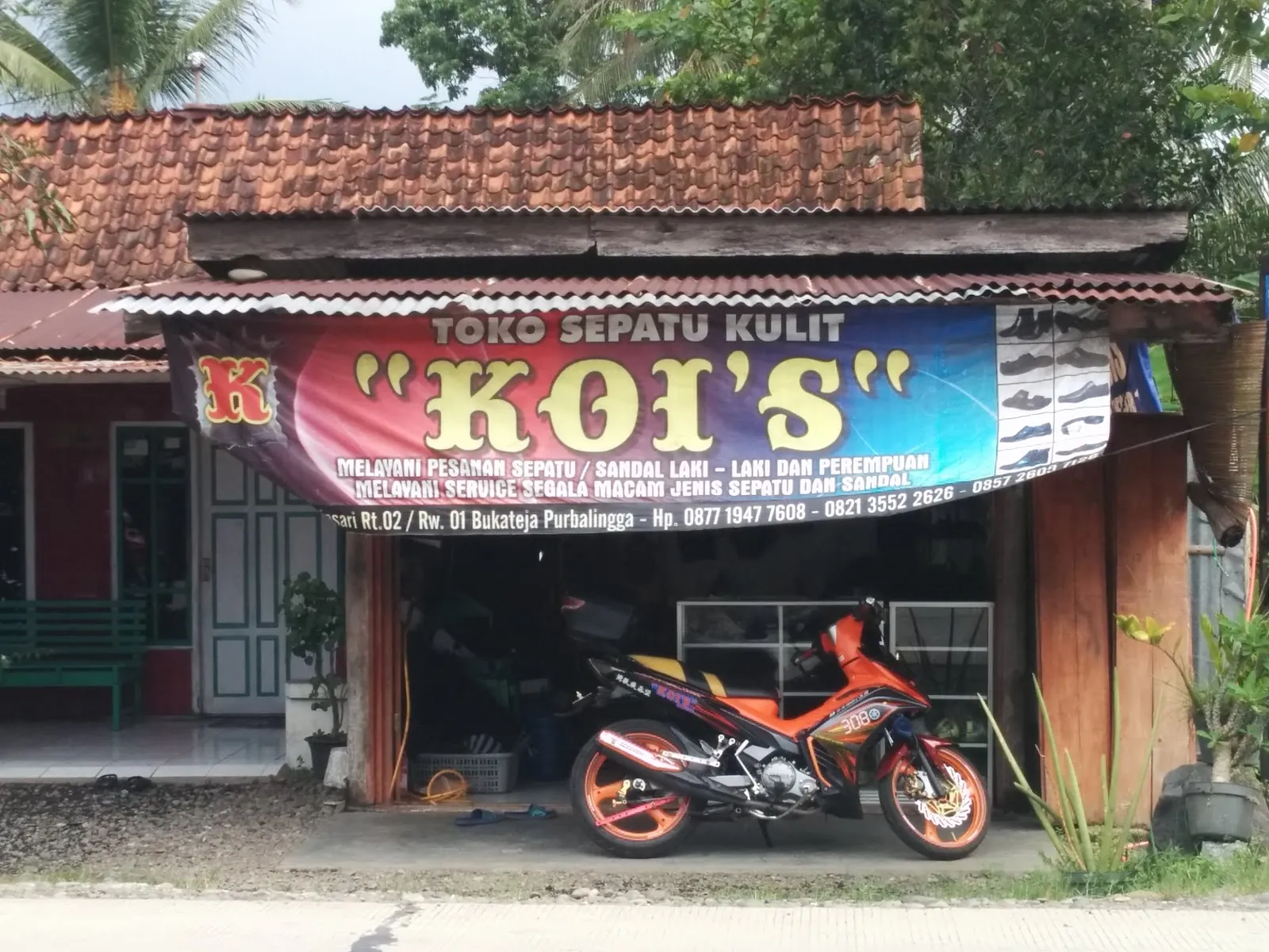 Koi's