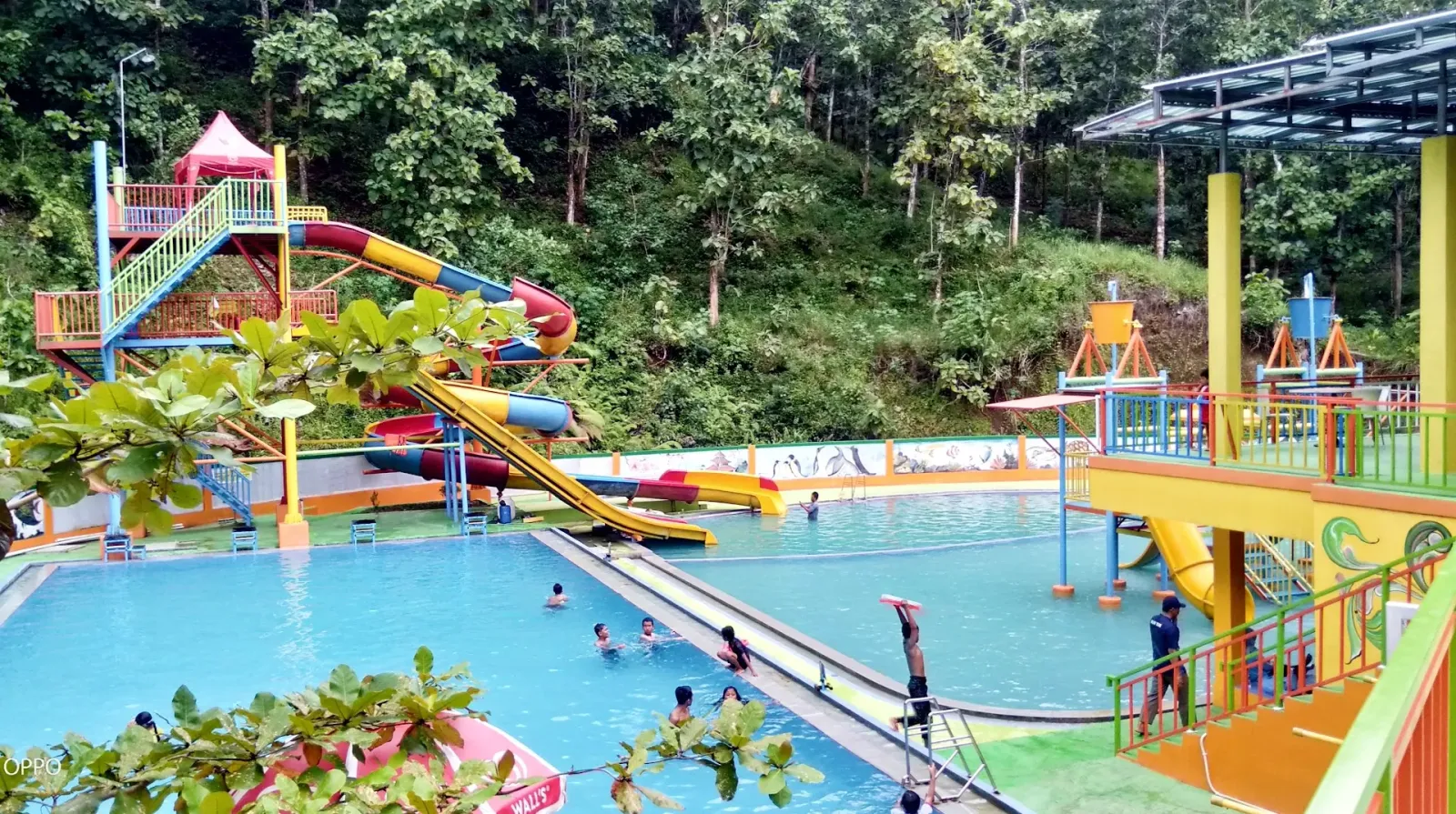 Kolam Renang