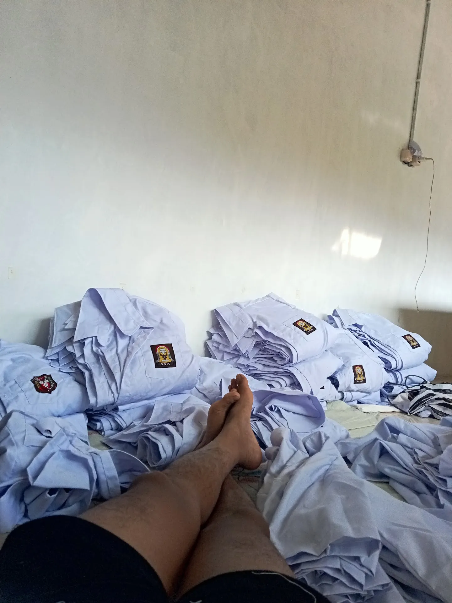 Konveksi sari karang rena