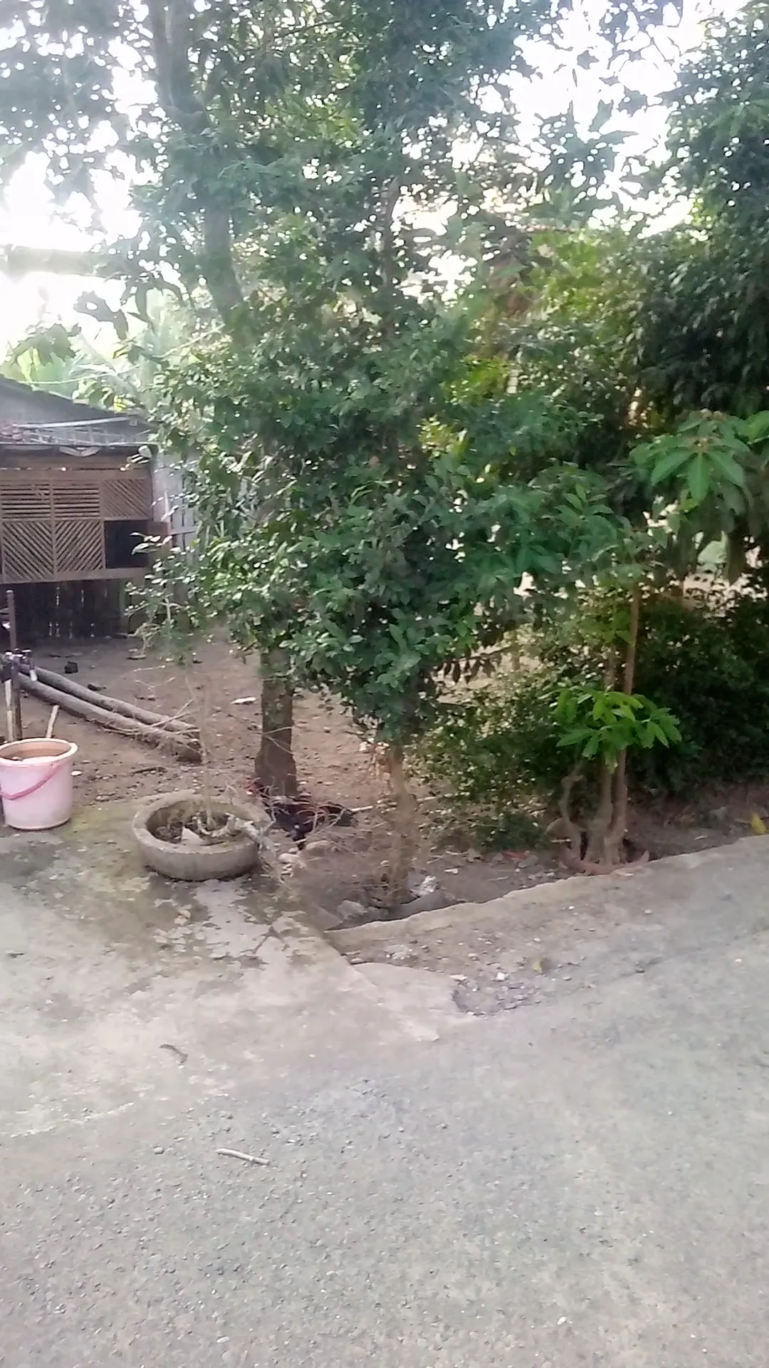 Koperasi Angkutan Desa