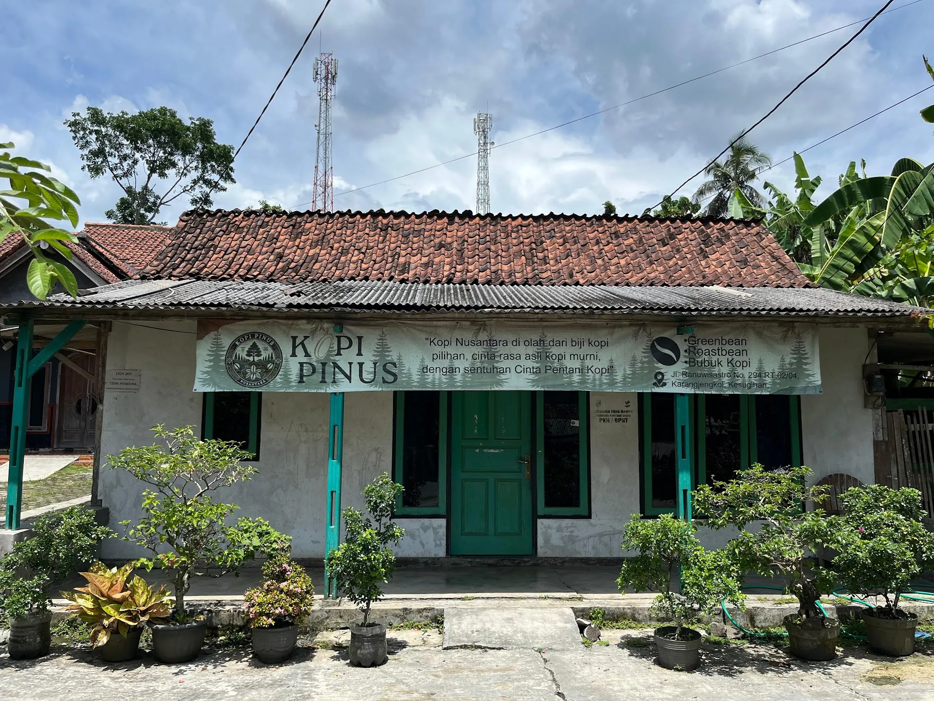 KOPI PINUS