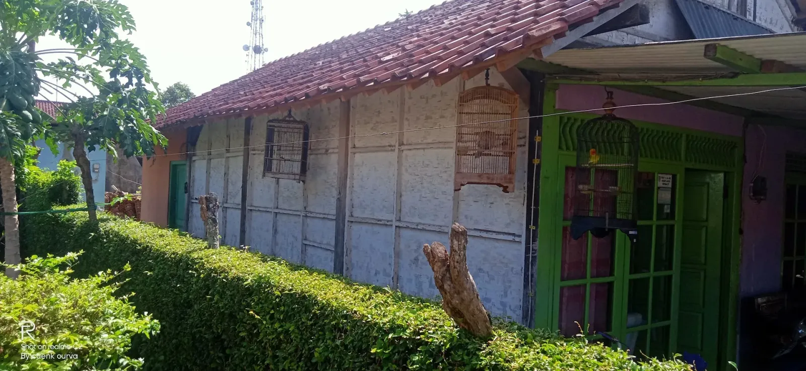 Kos-Kosan Bu Cici