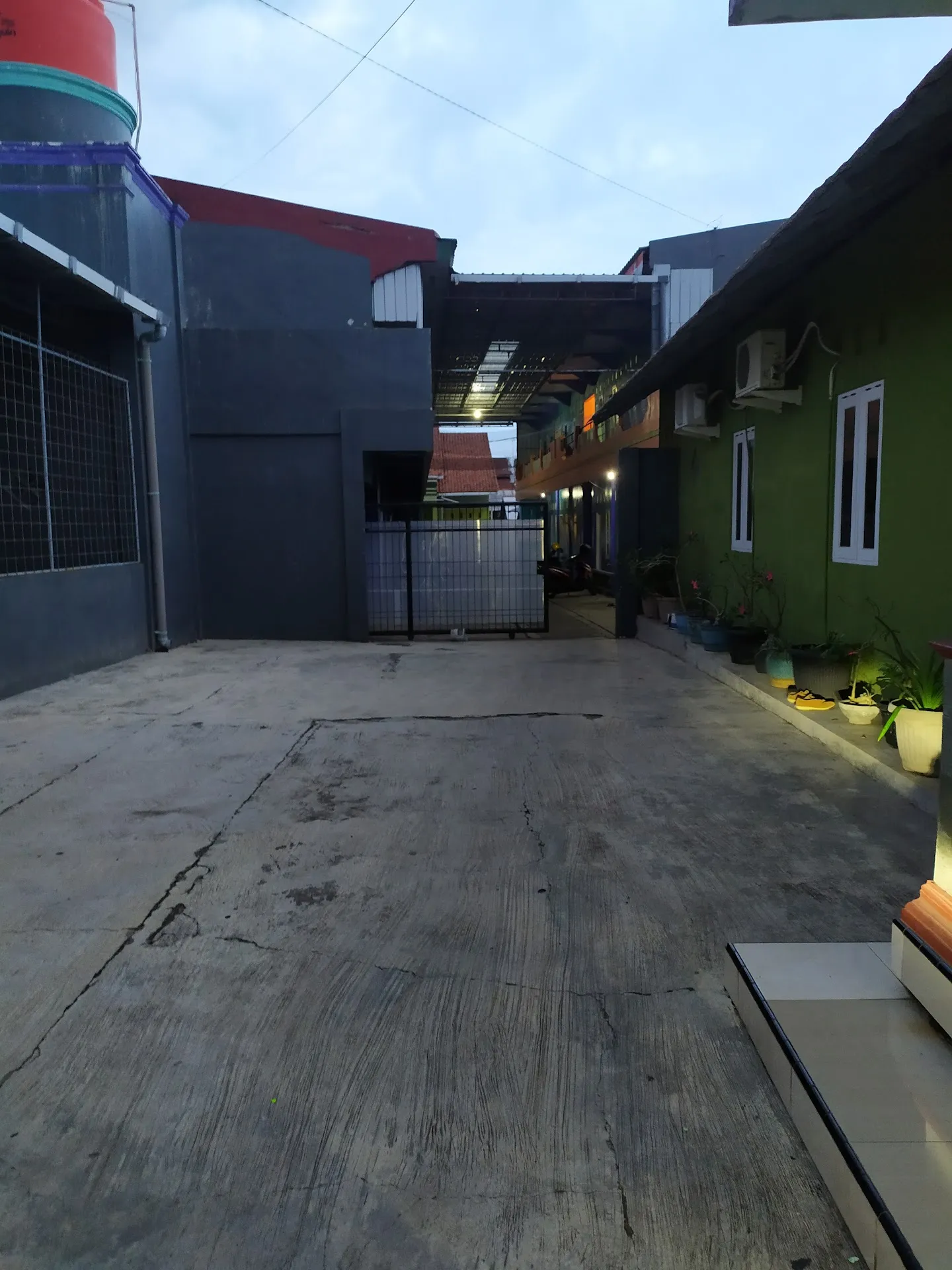 KOS UNGU