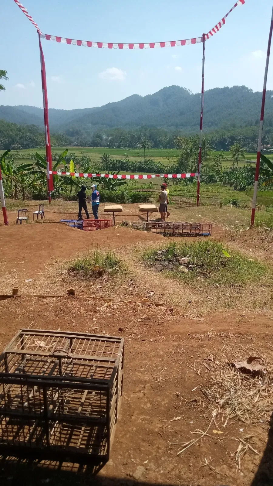 LAPAK MERPATI BANDAREWENK CIKAKAK