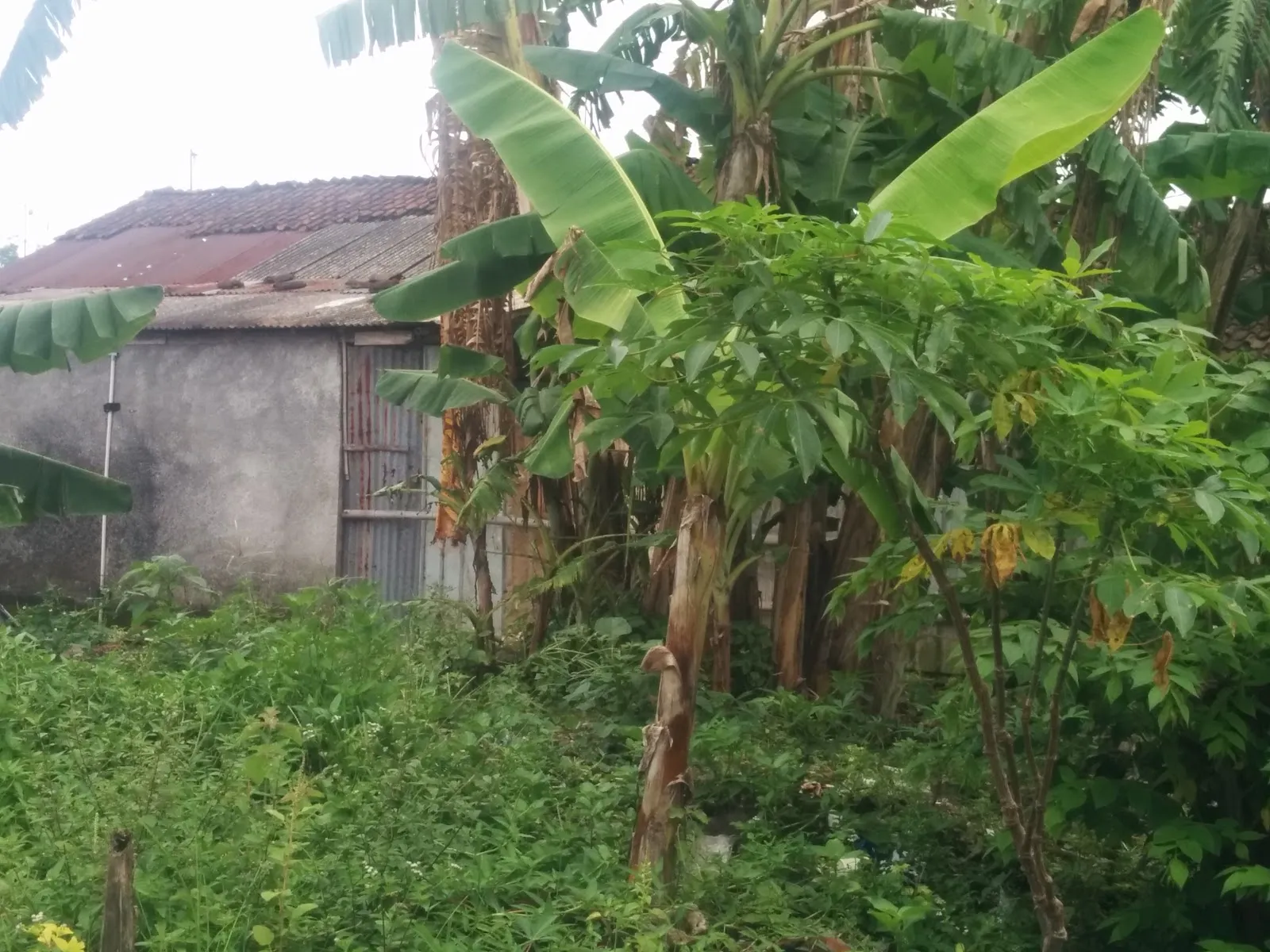 Lembaga Kursus Dan Pelatihan Rejeki