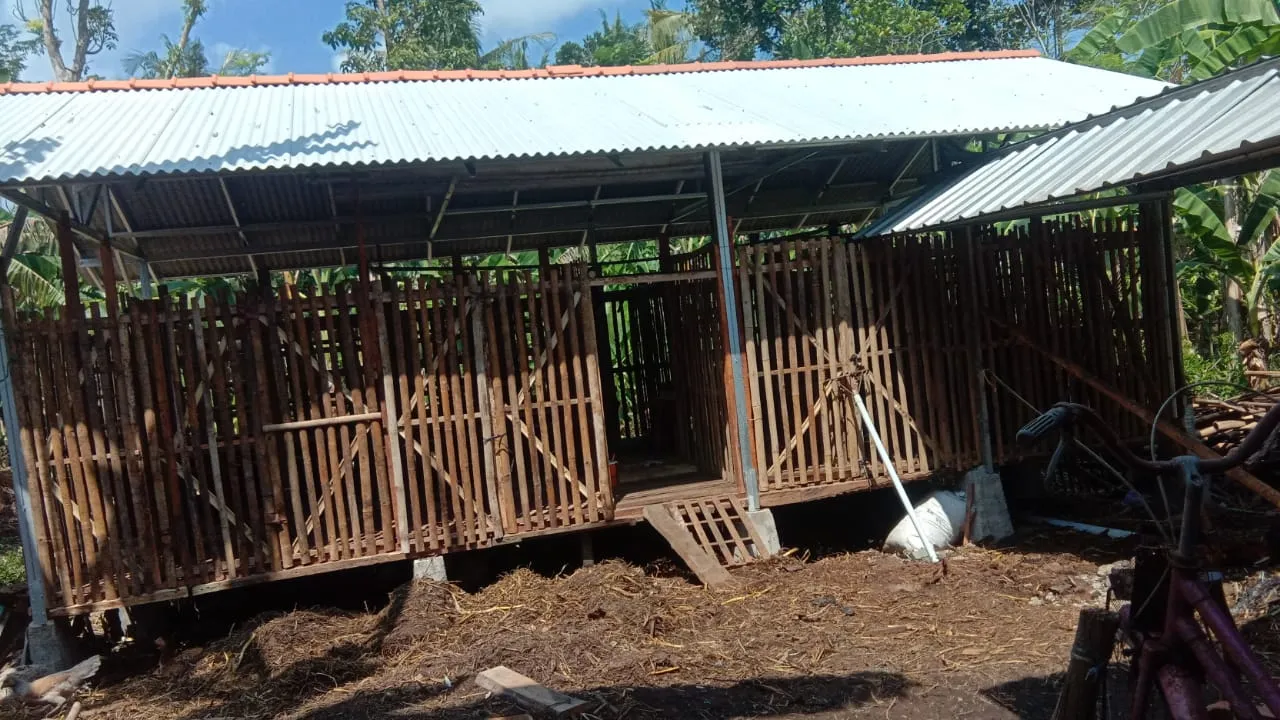 Locondong Farm