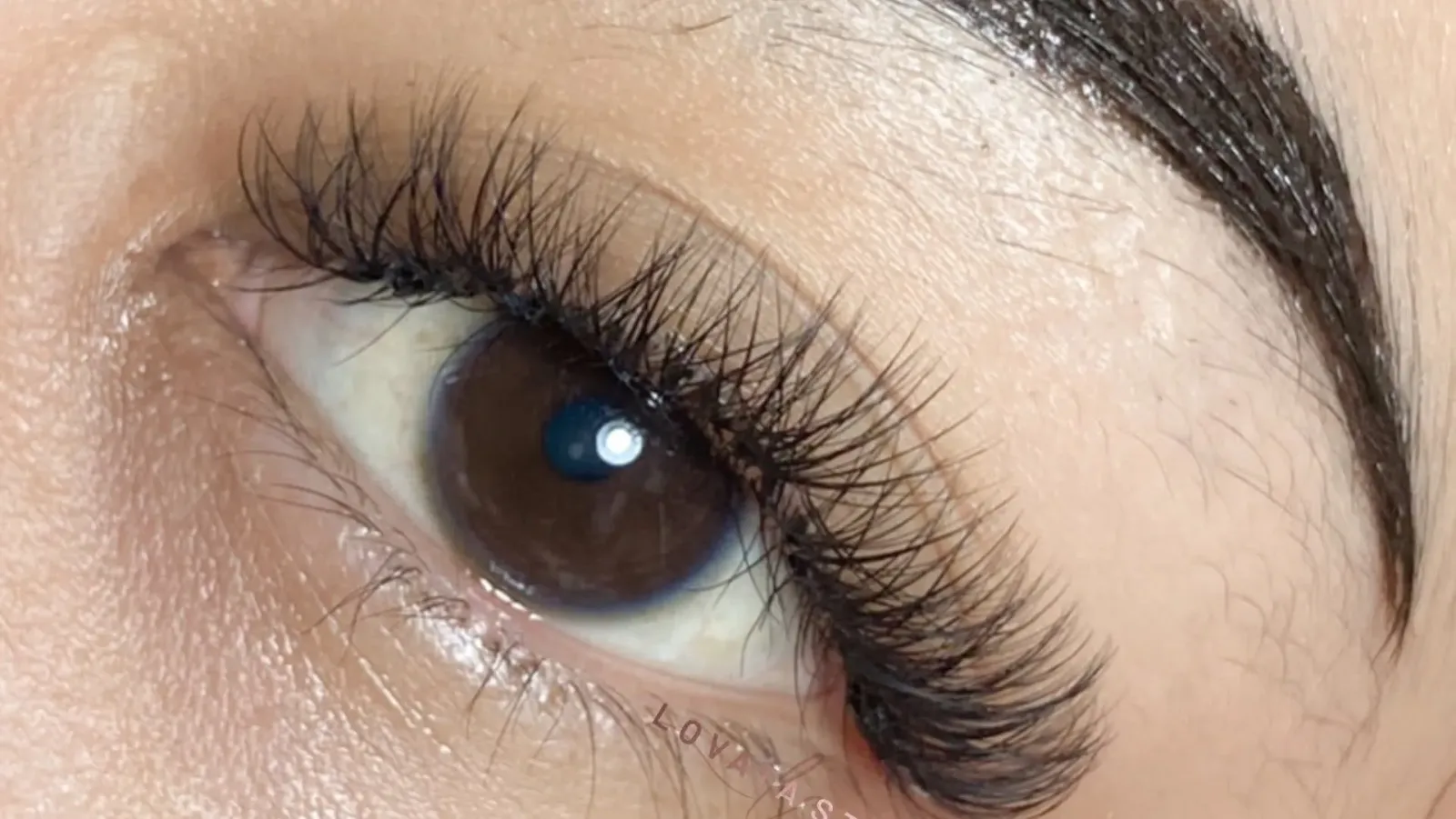 Lovata eyelash (nanda)