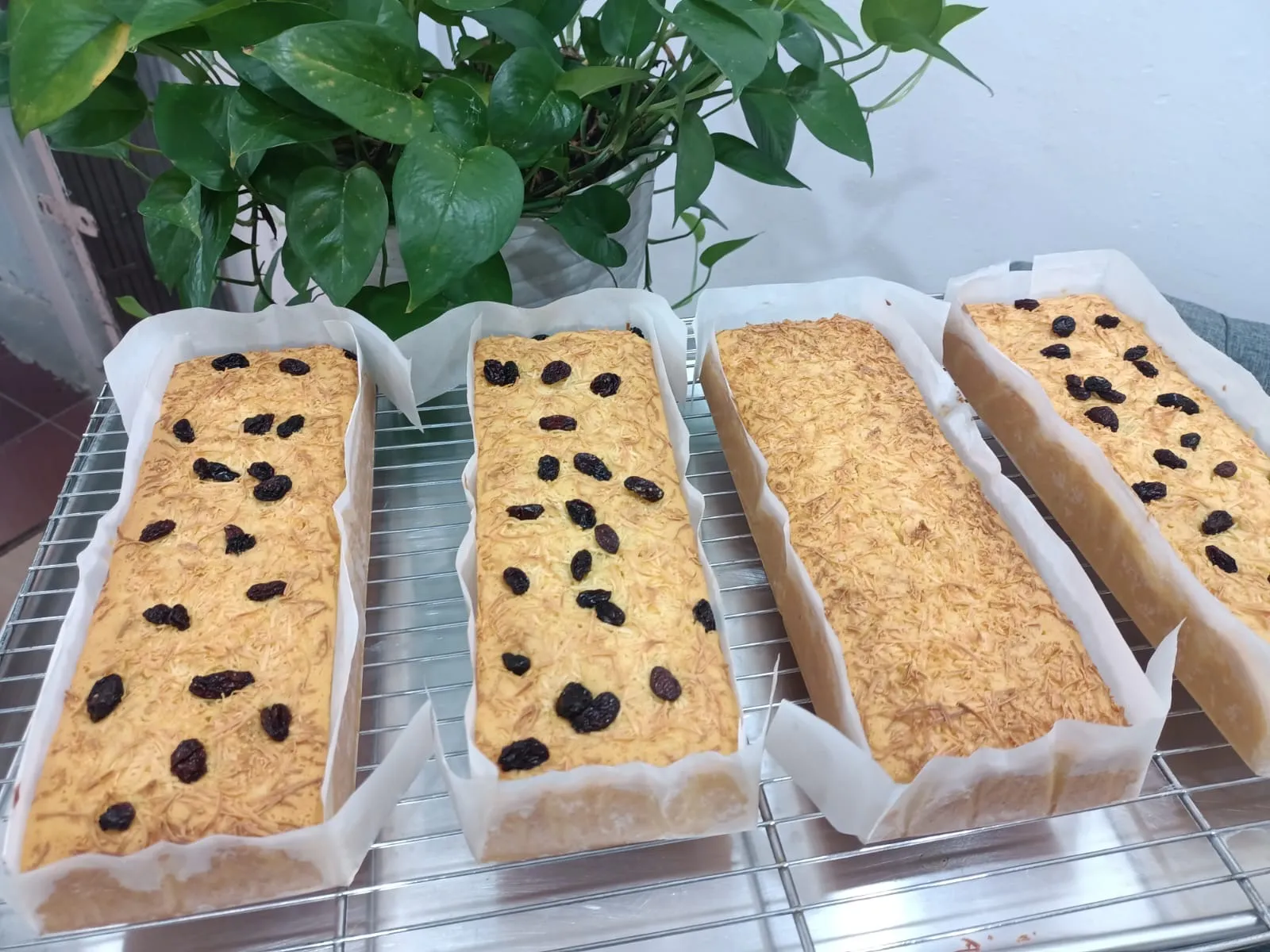 Loyang Ibu