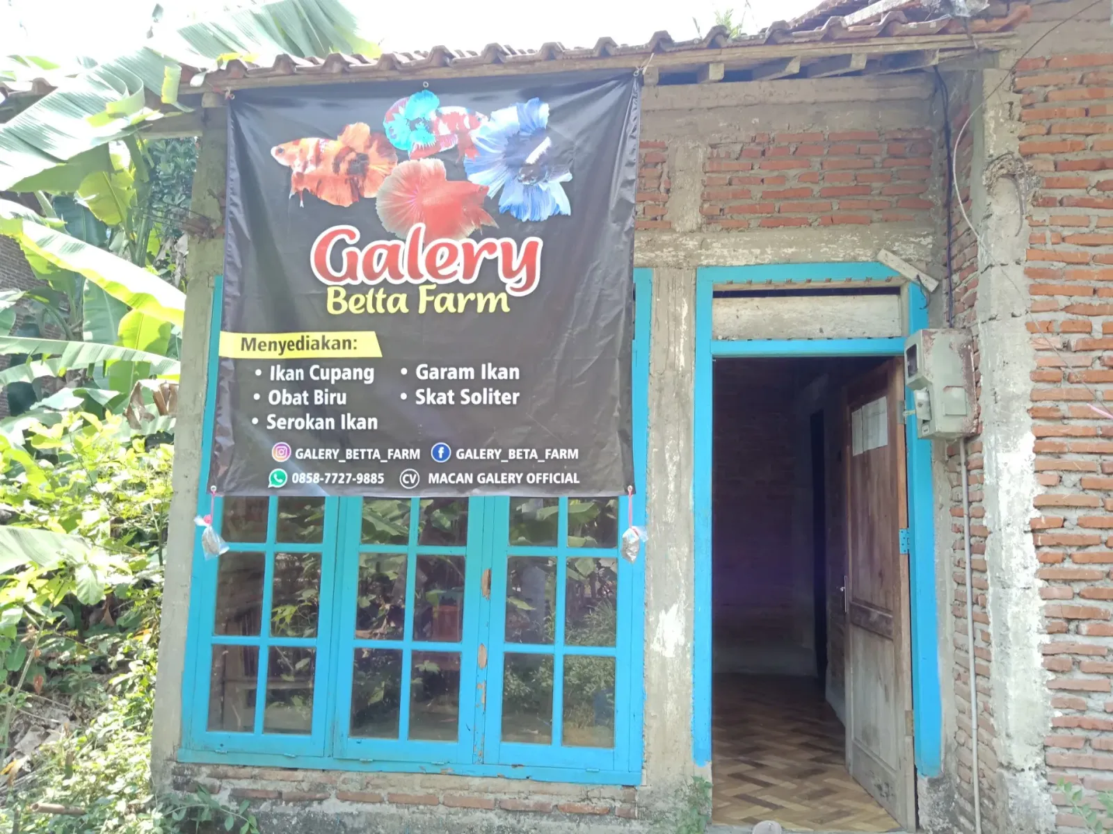 Macan Galery official