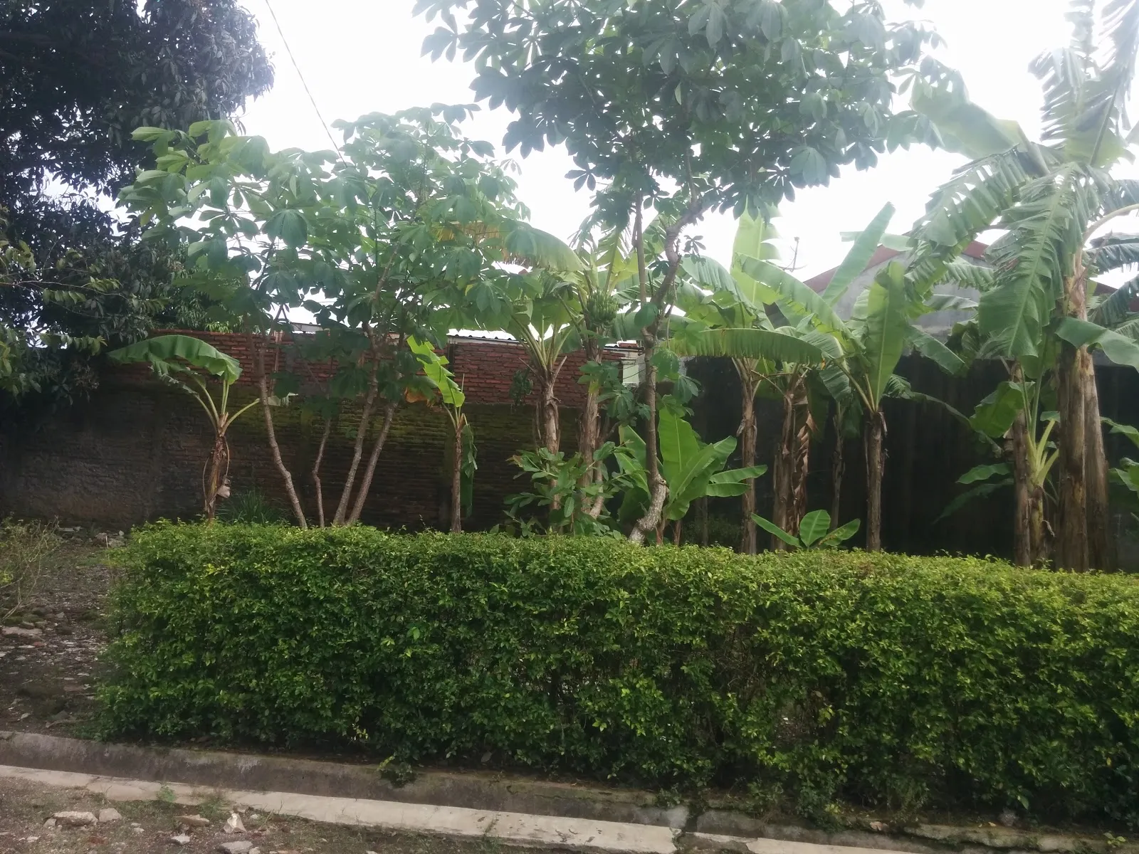 Madrasah Diniyah Ihya Al Islamy