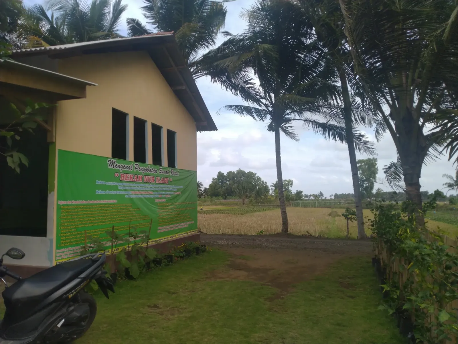 Mako Perisai Banten