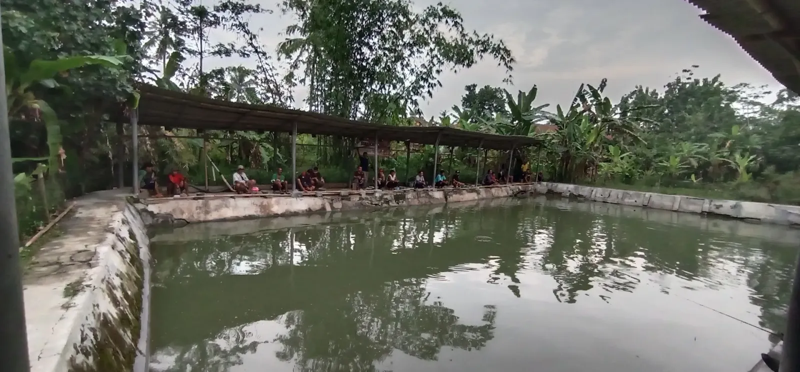 Mancing betik