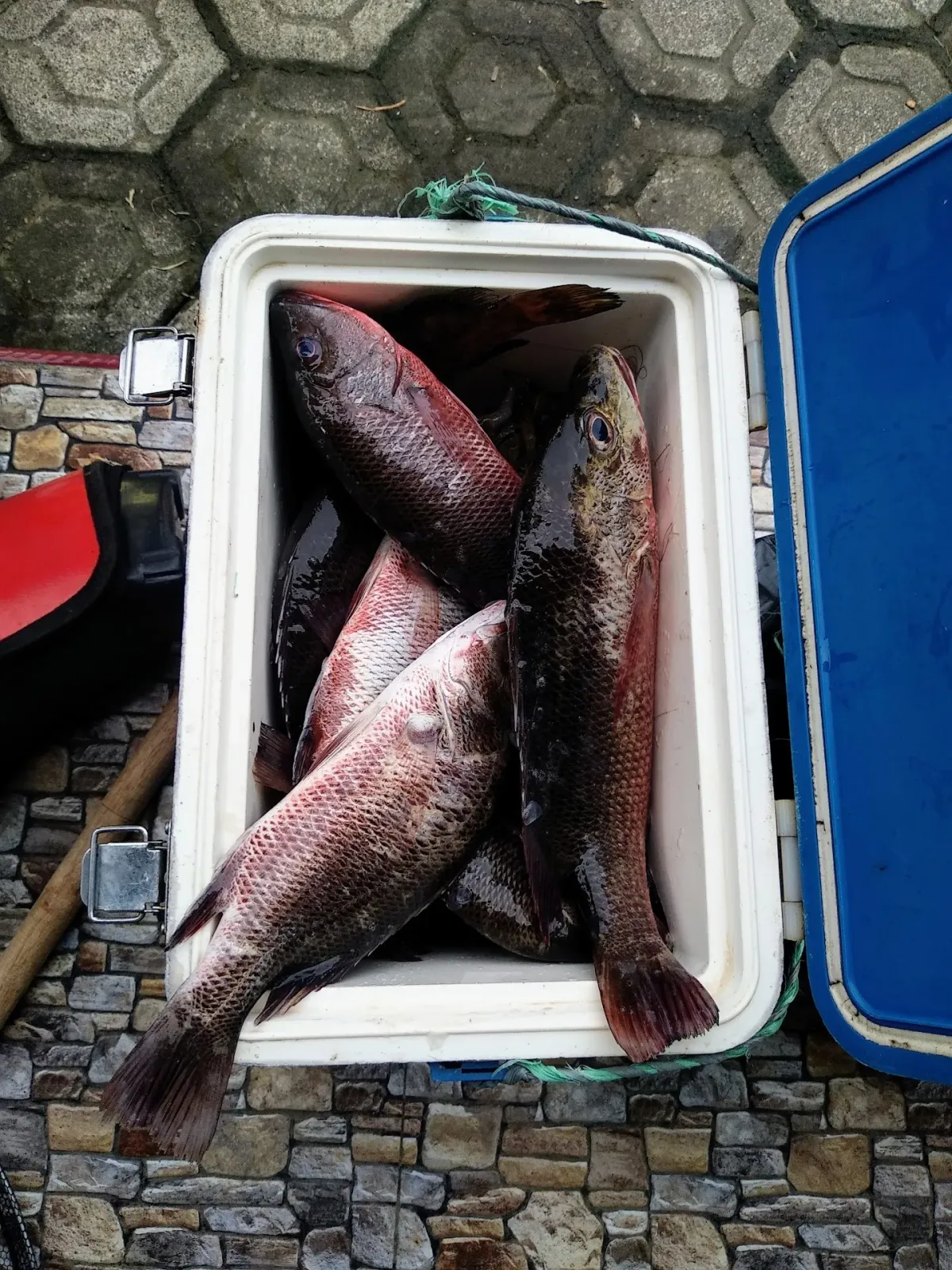 Mancing di Parid
