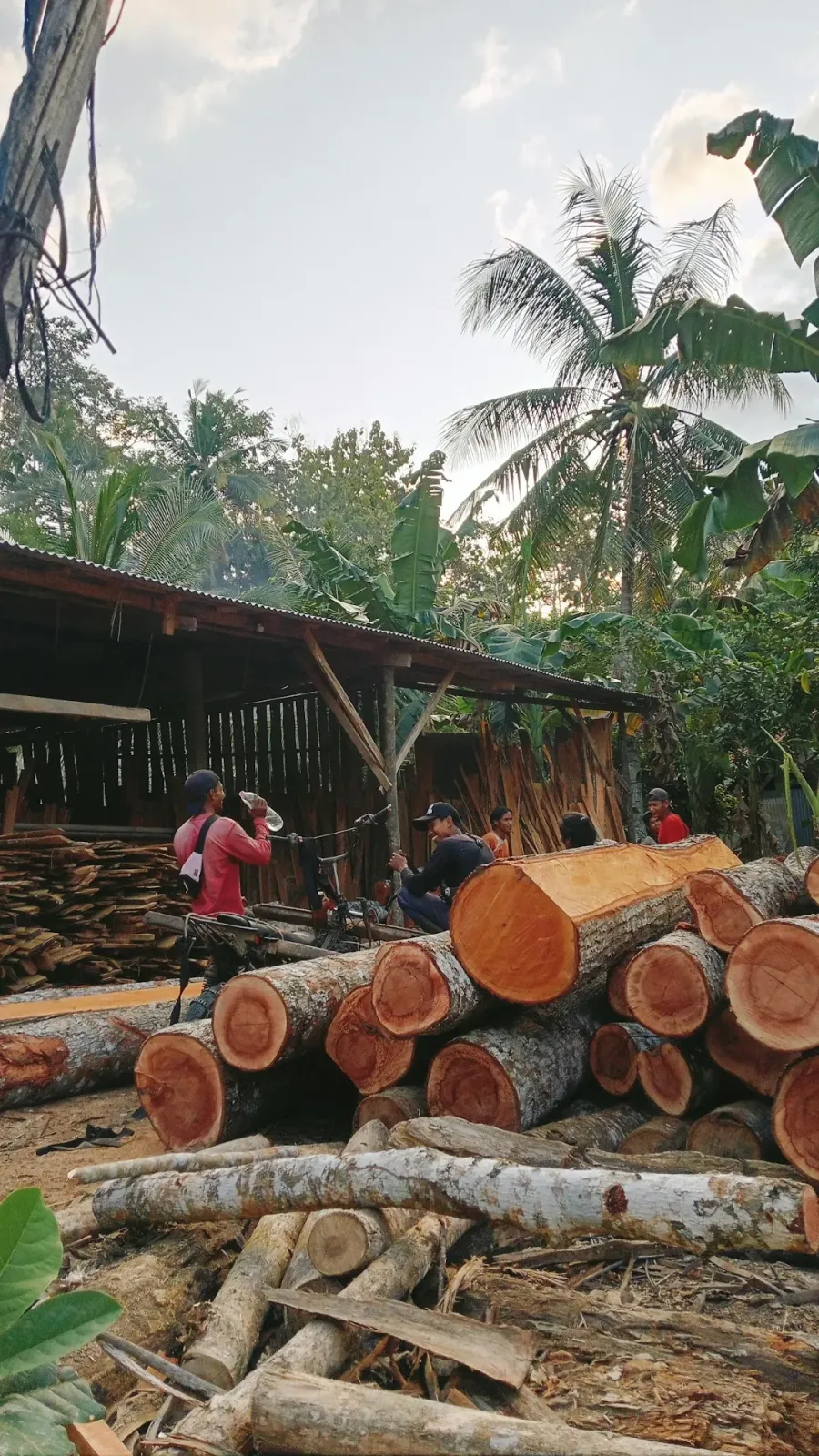 Maskur kayu
