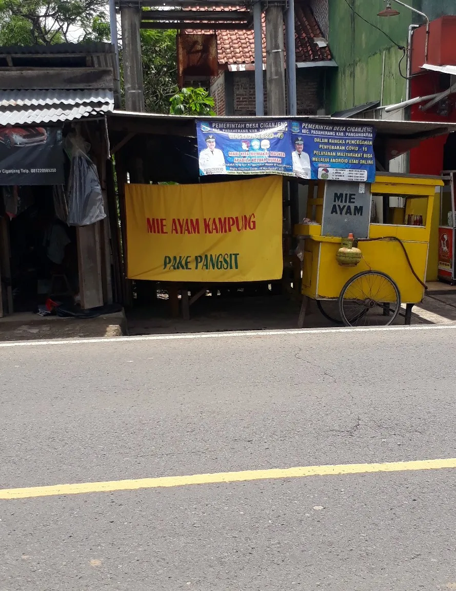 Mie ayam kampung pake pangsit