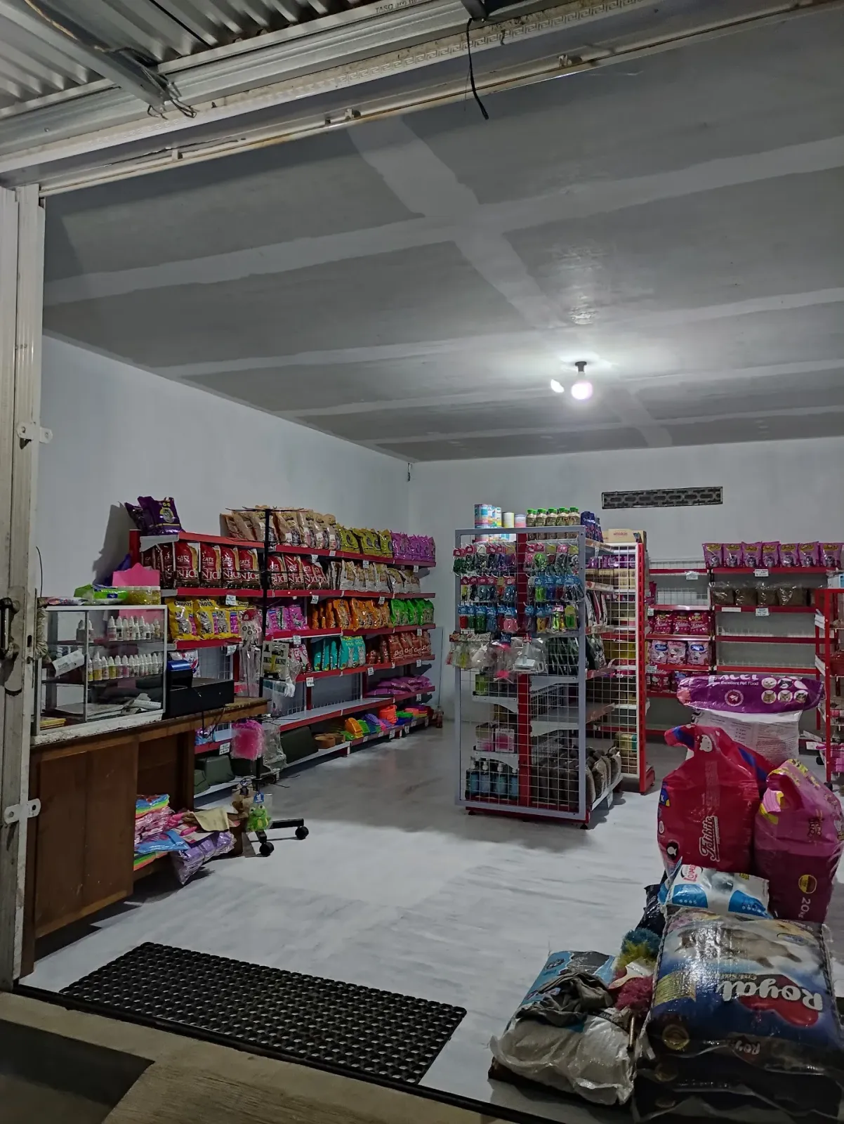 Molly Petshop