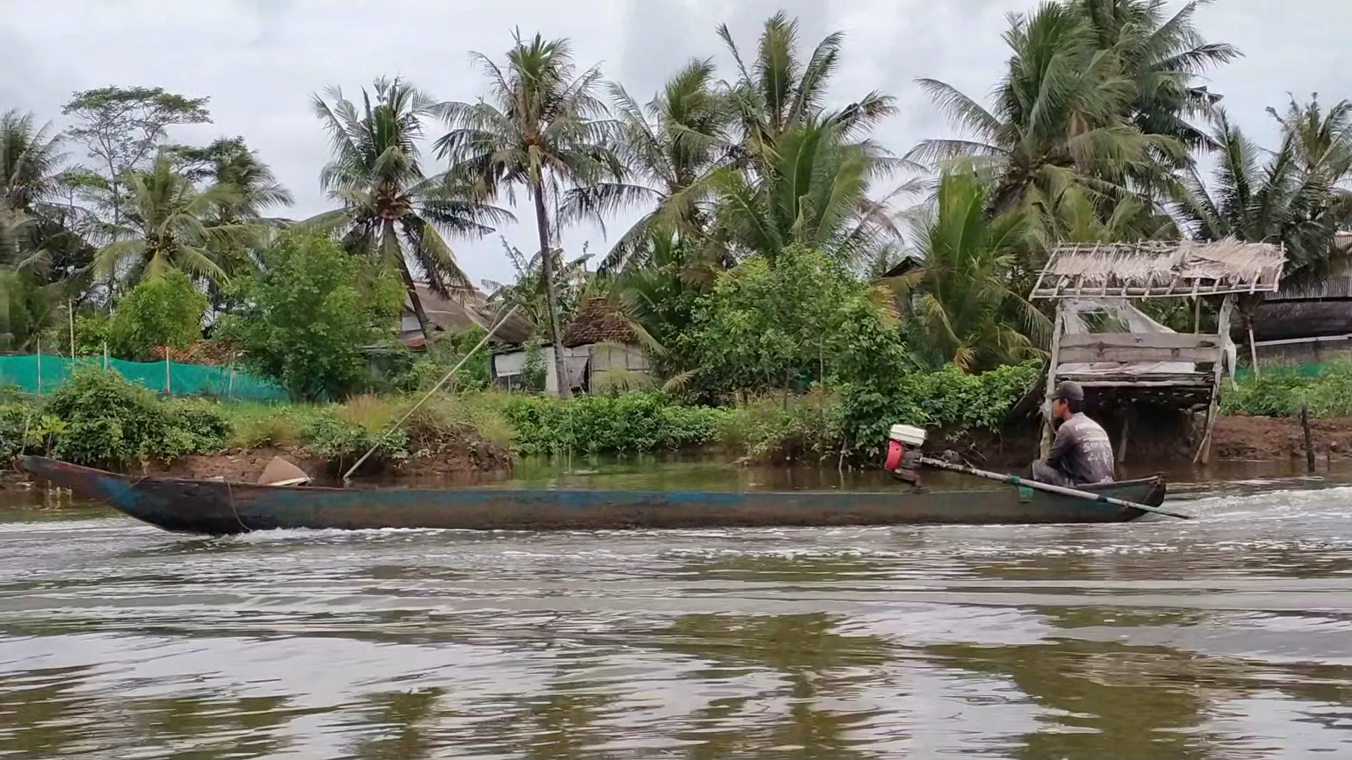 Muara parid