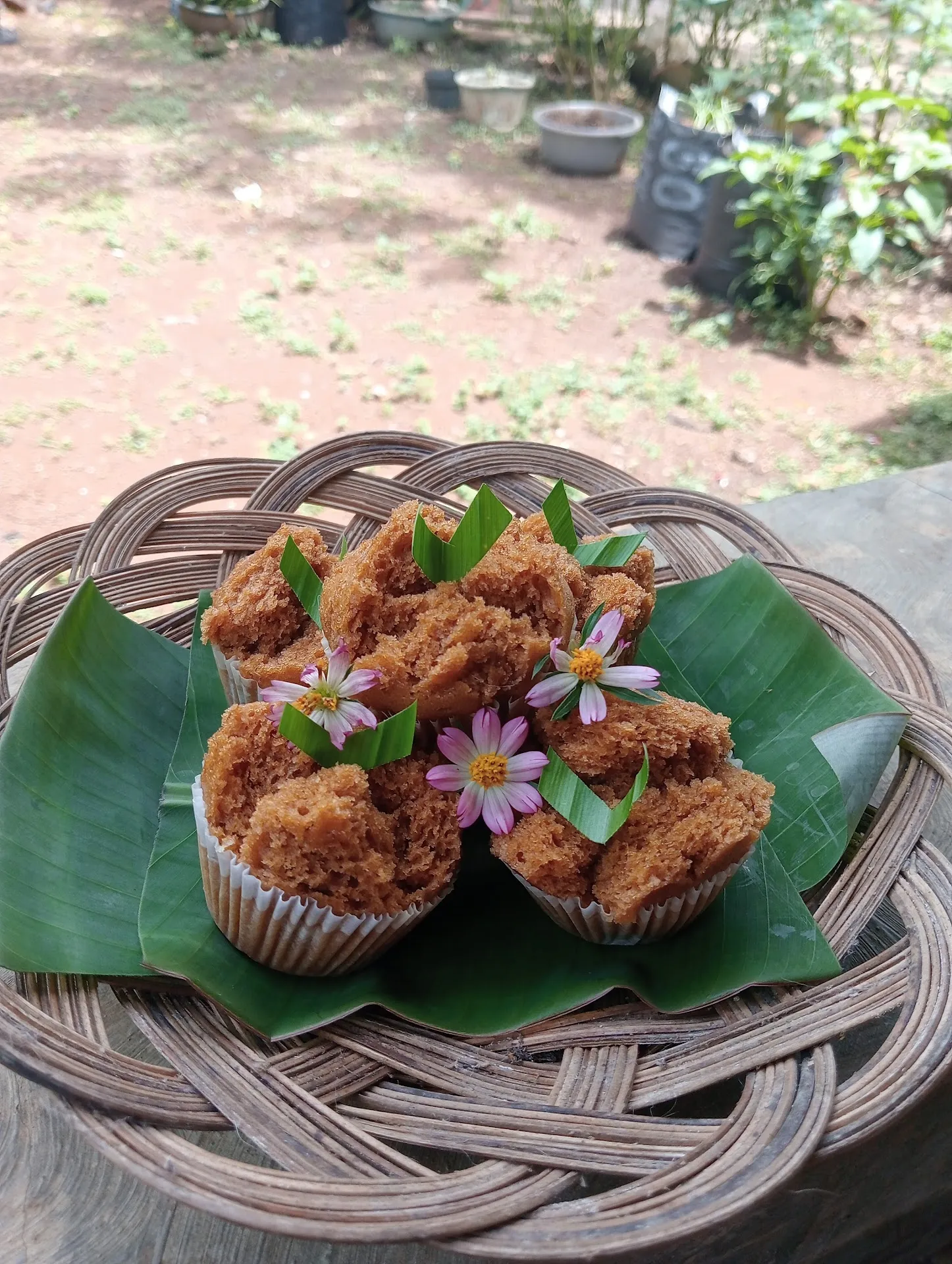 Muha Snack & catering