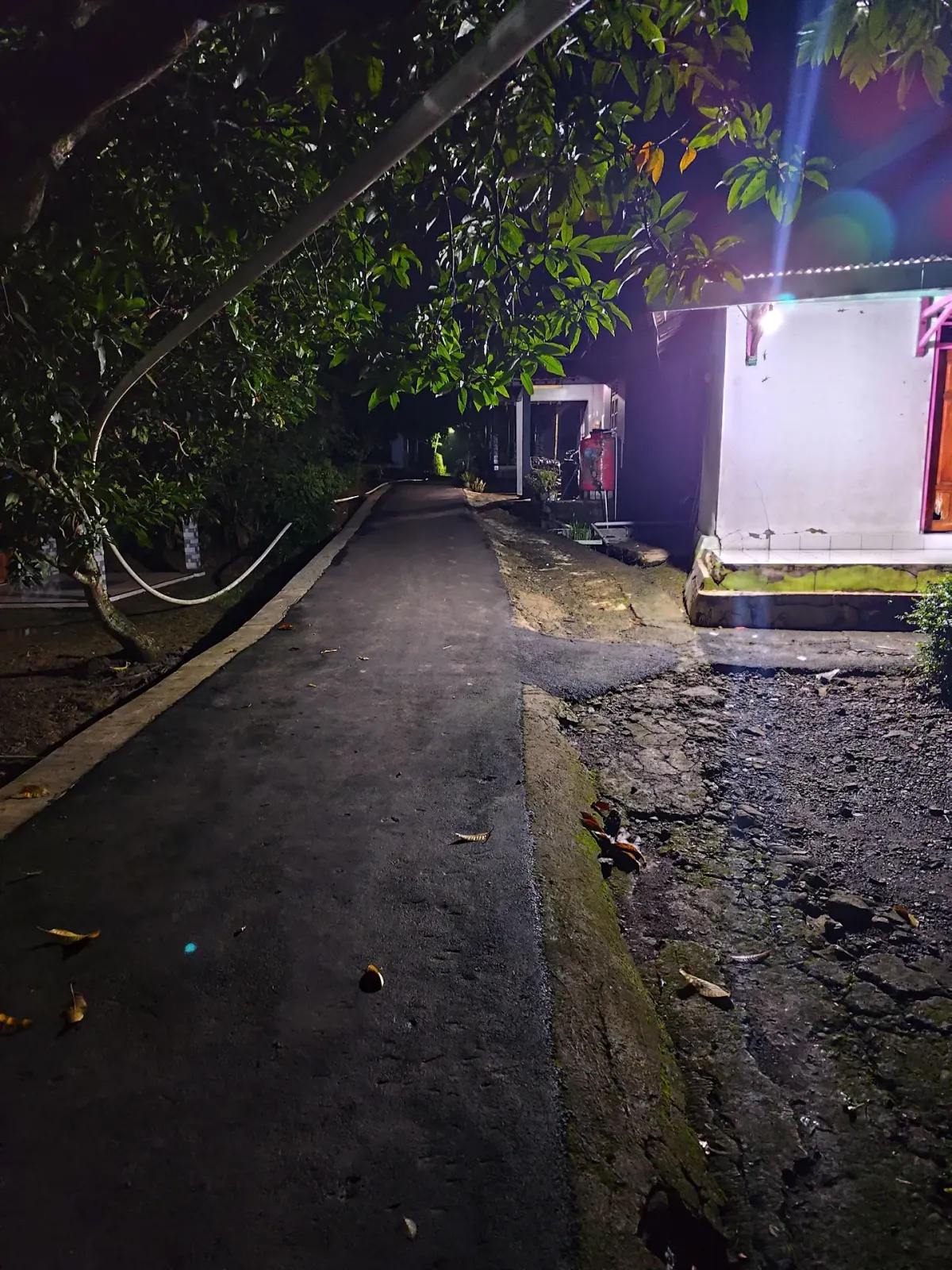 Mushola dharull khoffi