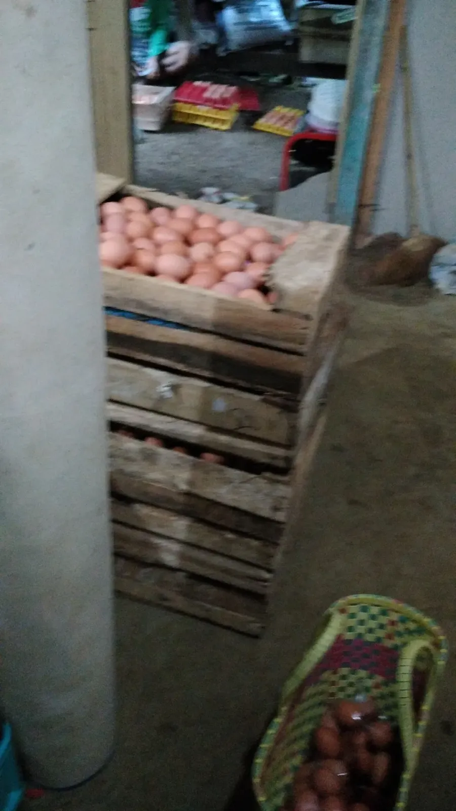 Mustika Egg Farm