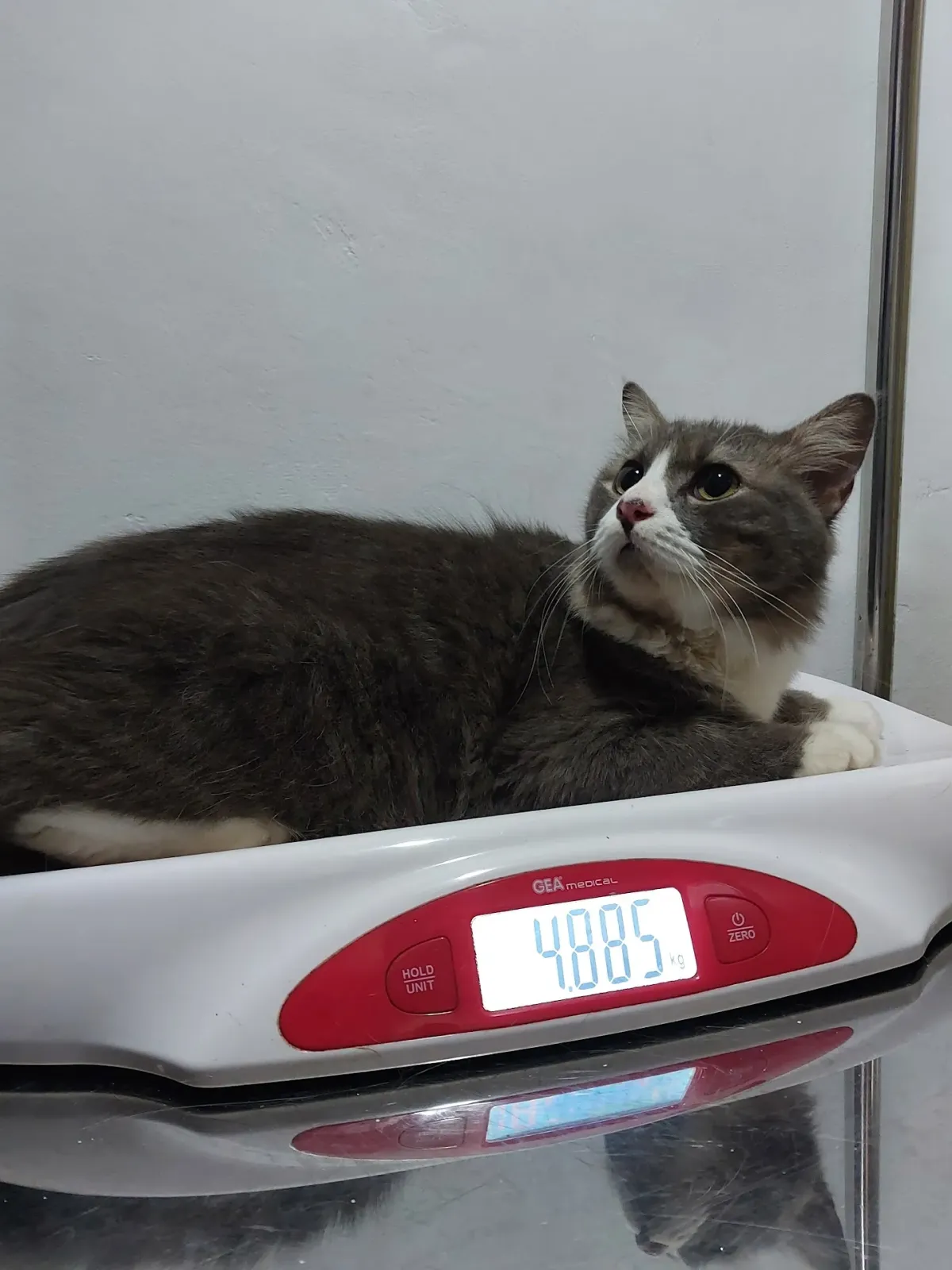 Nala Vetcare