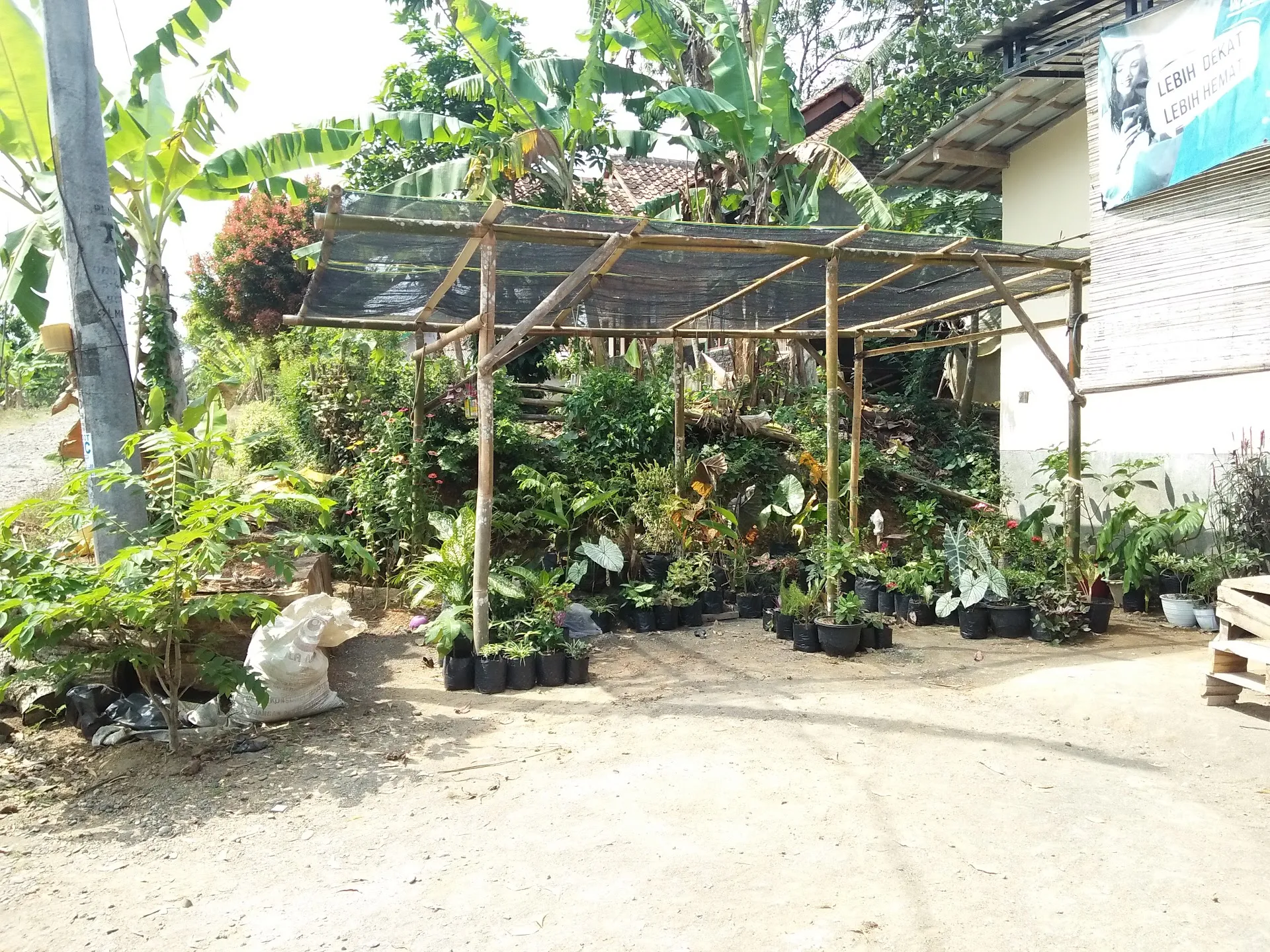 nata jaya