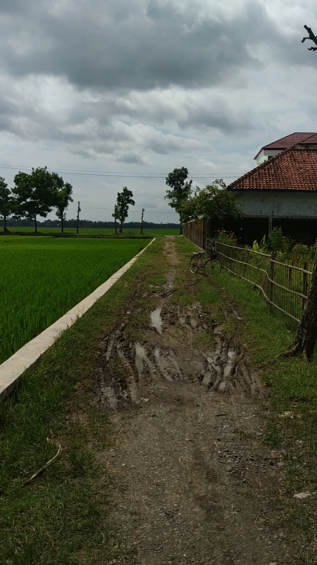 Nonjok gaul