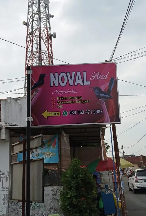 Noval Bird Shop