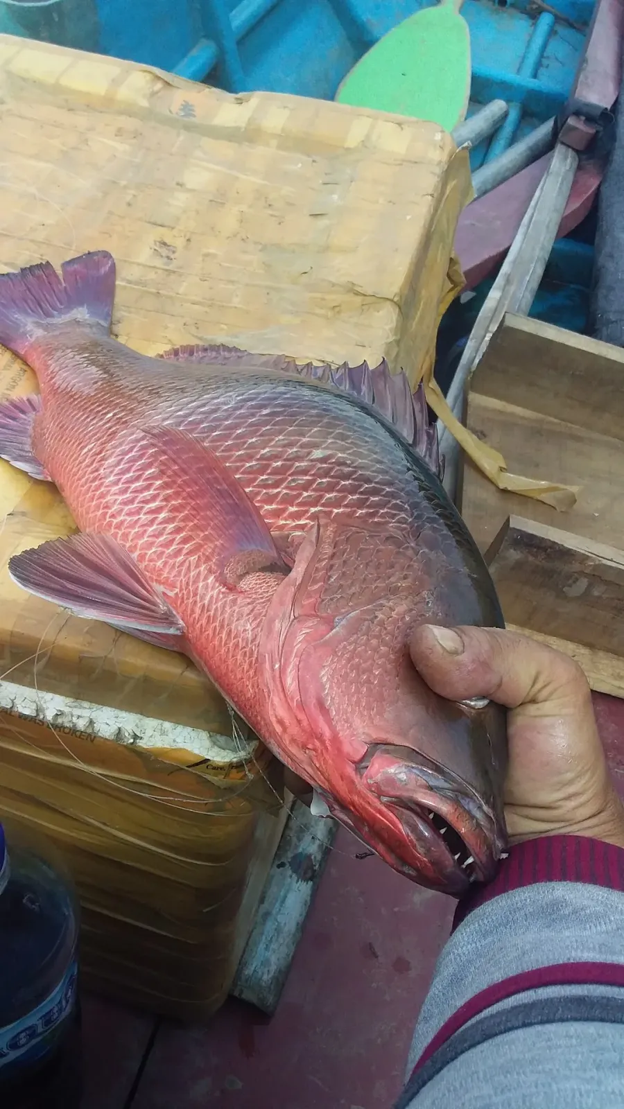 Nusa kalitengah